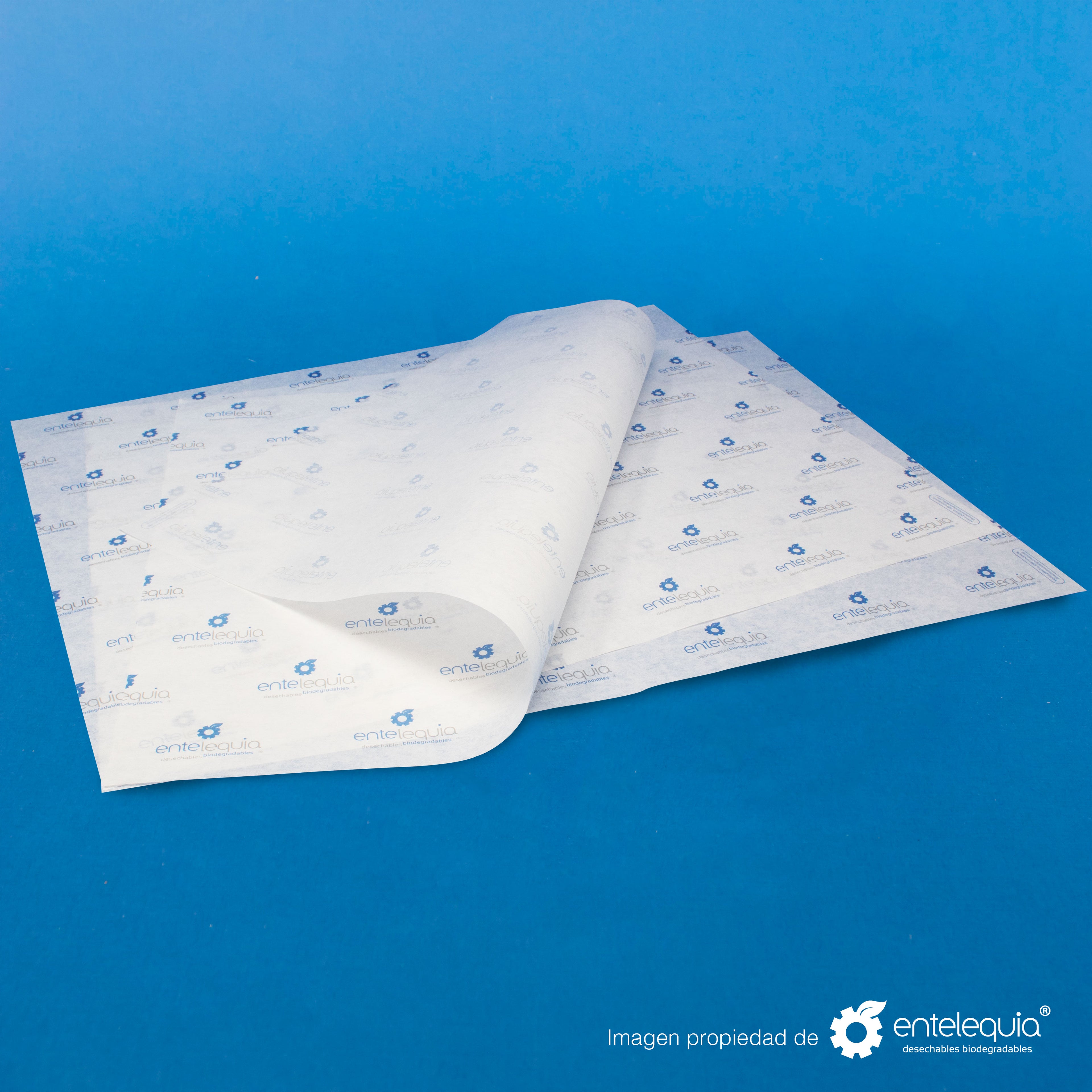 Sabanita personalizada 2 tintas Papel de 32 gramos (34 cm x 44.5 cm) - Desechables Biodegradables Entelequia®