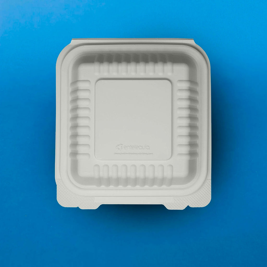 Contenedor para Hamburguesa 6 x 6 Fécula de Maíz AFH - Desechables Biodegradables Entelequia® 125/500 pzas