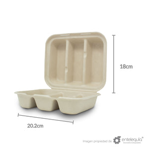 Envase taquero  de Paja de Trigo 8 ” con 3 divisiones C3DIV- Desechables Biodegradables Entelequia®