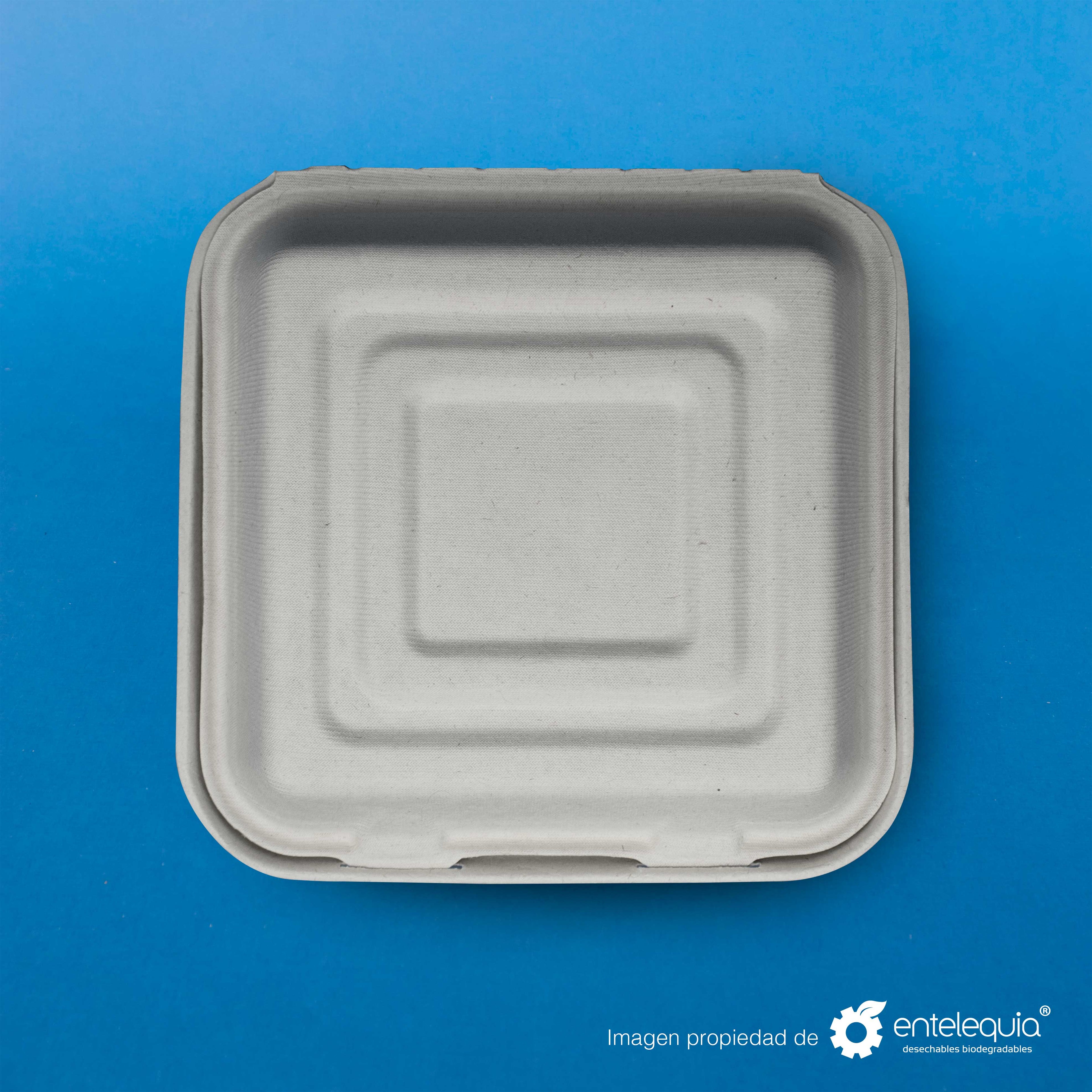 Almeja con 3 divisiones Paja de Trigo 9x9 "- Desechables Biodegradables Entelequia® 
