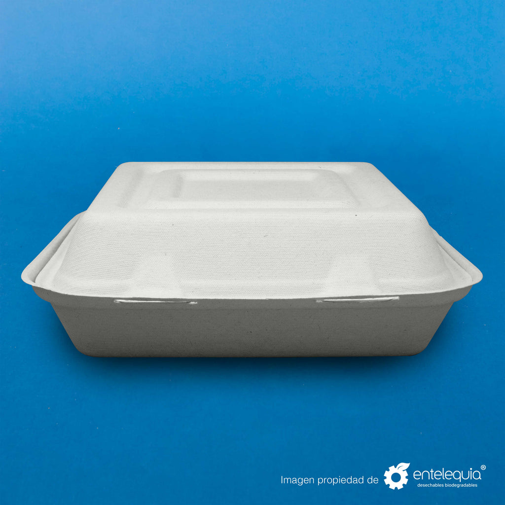 Almeja con 3 divisiones Paja de Trigo 9x9 "- Desechables Biodegradables Entelequia® 
