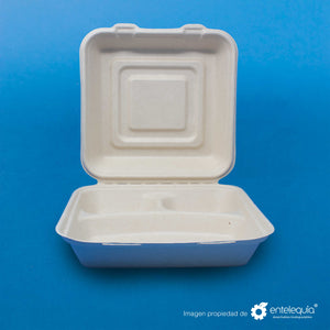 Almeja con 3 divisiones Paja de Trigo 9x9 "- Desechables Biodegradables Entelequia® 
