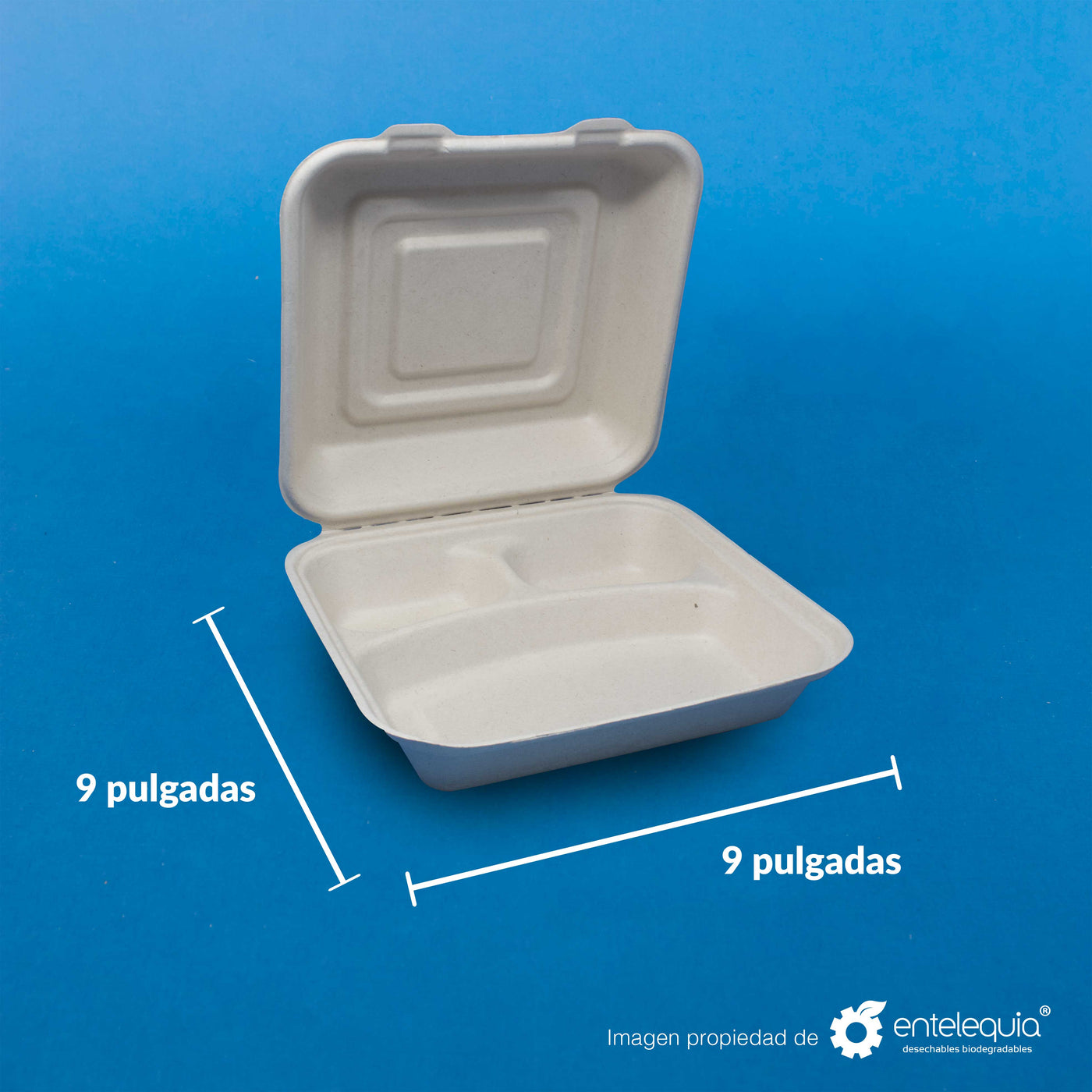 Almeja 9x9”  Entelequia Desechables Biodegradables – Entelequia®  Desechables Biodegradables