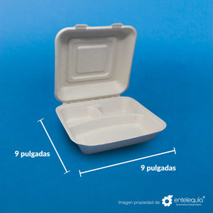 Almeja con 3 divisiones Paja de Trigo 9x9 "- Desechables Biodegradables Entelequia® 