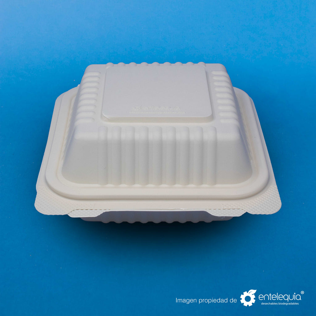 Contenedor para Hamburguesa 6 x 6 Fécula de Maíz AFH - Desechables Biodegradables Entelequia® 125/500 pzas
