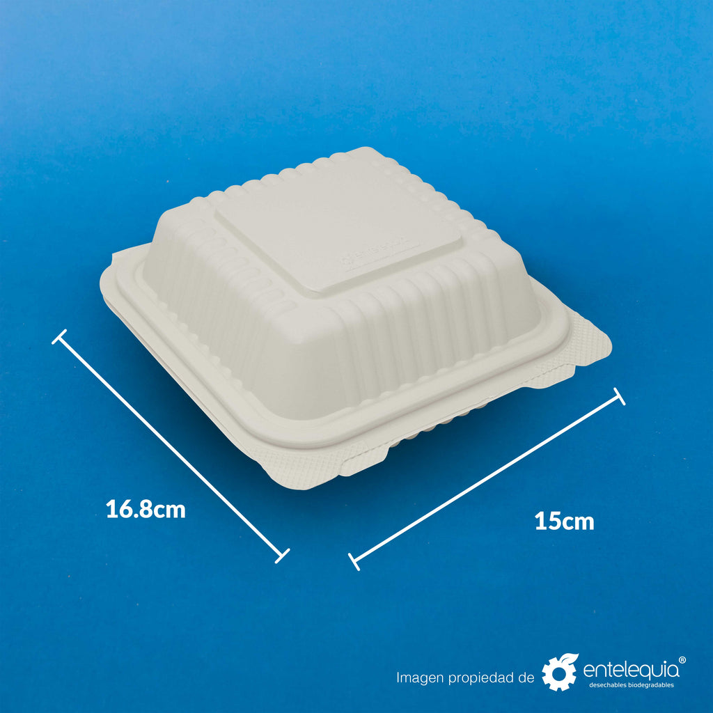 Contenedor para Hamburguesa 6 x 6 Fécula de Maíz AFH - Desechables Biodegradables Entelequia® 125/500 pzas