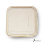 Almeja Cuadrada Lisa Paja de Trigo AL9 - Desechable Biodegradable Entelequia 50/200 pzas
