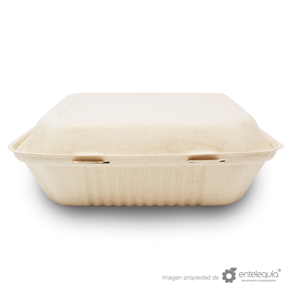 Almeja Cuadrada Lisa Paja de Trigo AL9 - Desechable Biodegradable Entelequia 50/200 pzas