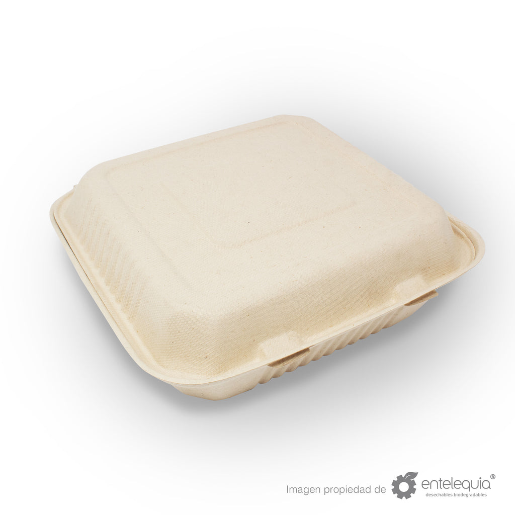 Almeja Cuadrada Lisa Paja de Trigo AL9 - Desechable Biodegradable Entelequia 50/200 pzas