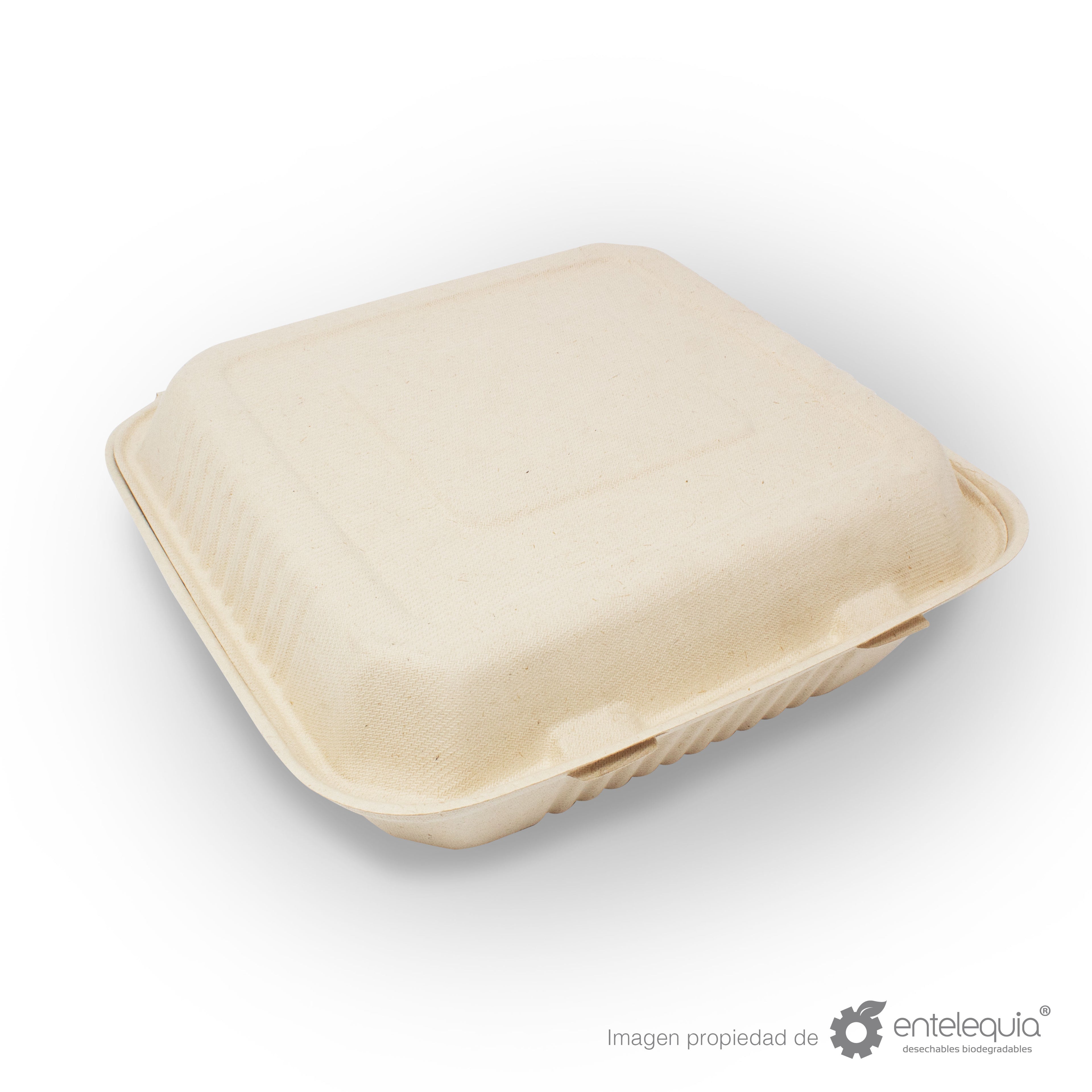 Almeja Cuadrada Lisa Paja de Trigo AL9 - Desechable Biodegradable Entelequia 50/200 pzas
