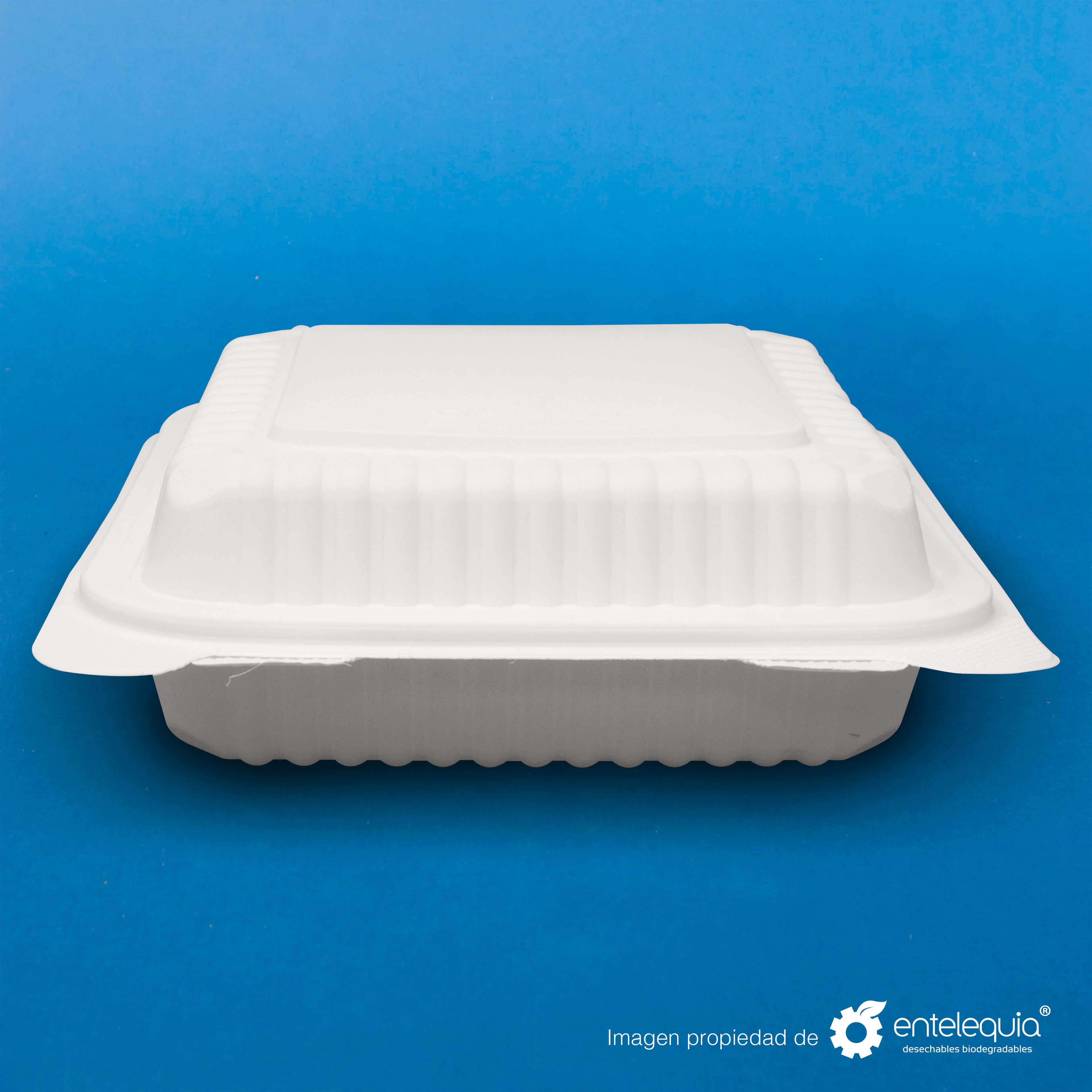 Almeja Cuadrada de Fécula de Maíz AFC8 - Desechables Biodegradables Entelequia® 50/300 pzas