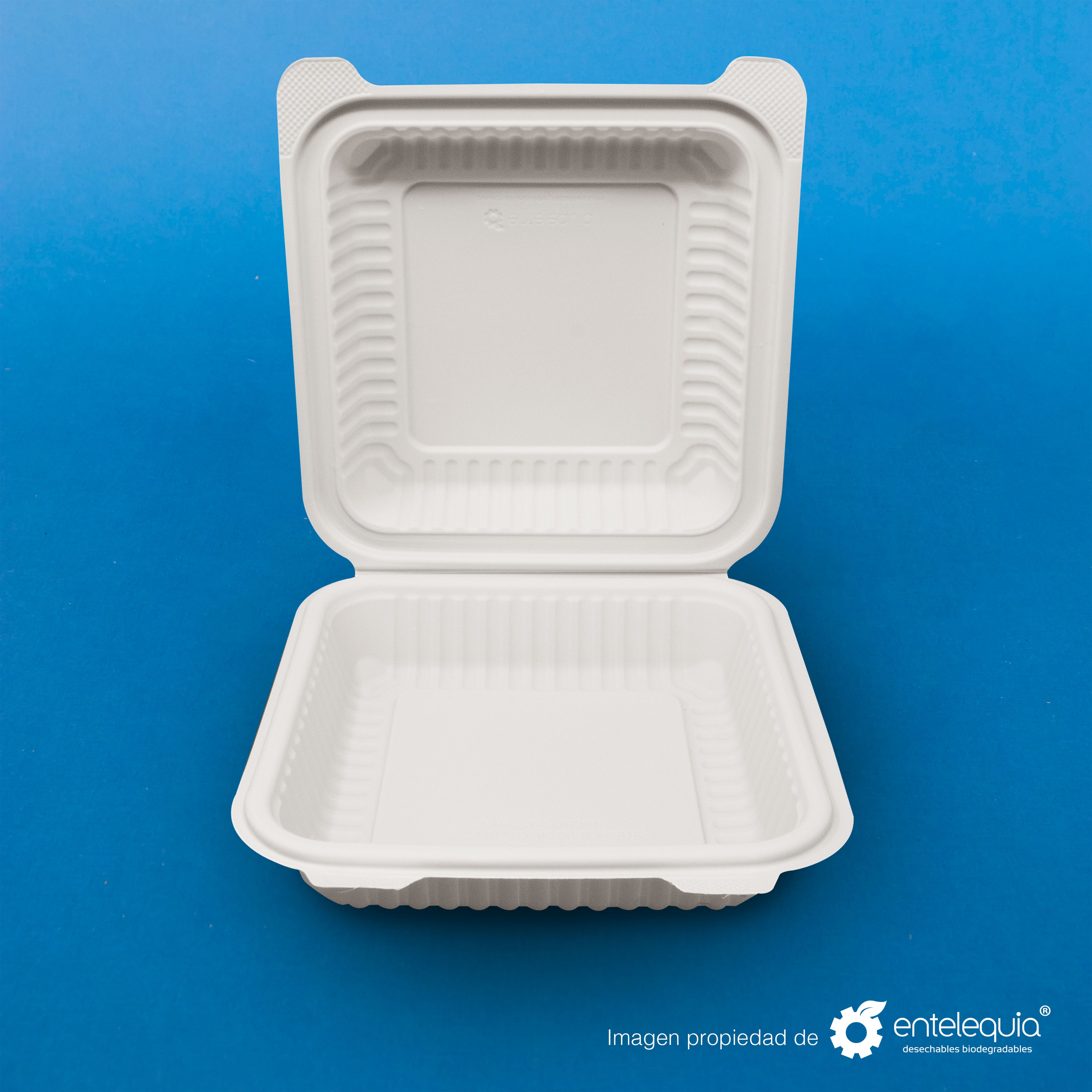 Almeja Cuadrada de Fécula de Maíz AFC8 - Desechables Biodegradables Entelequia® 50/300 pzas