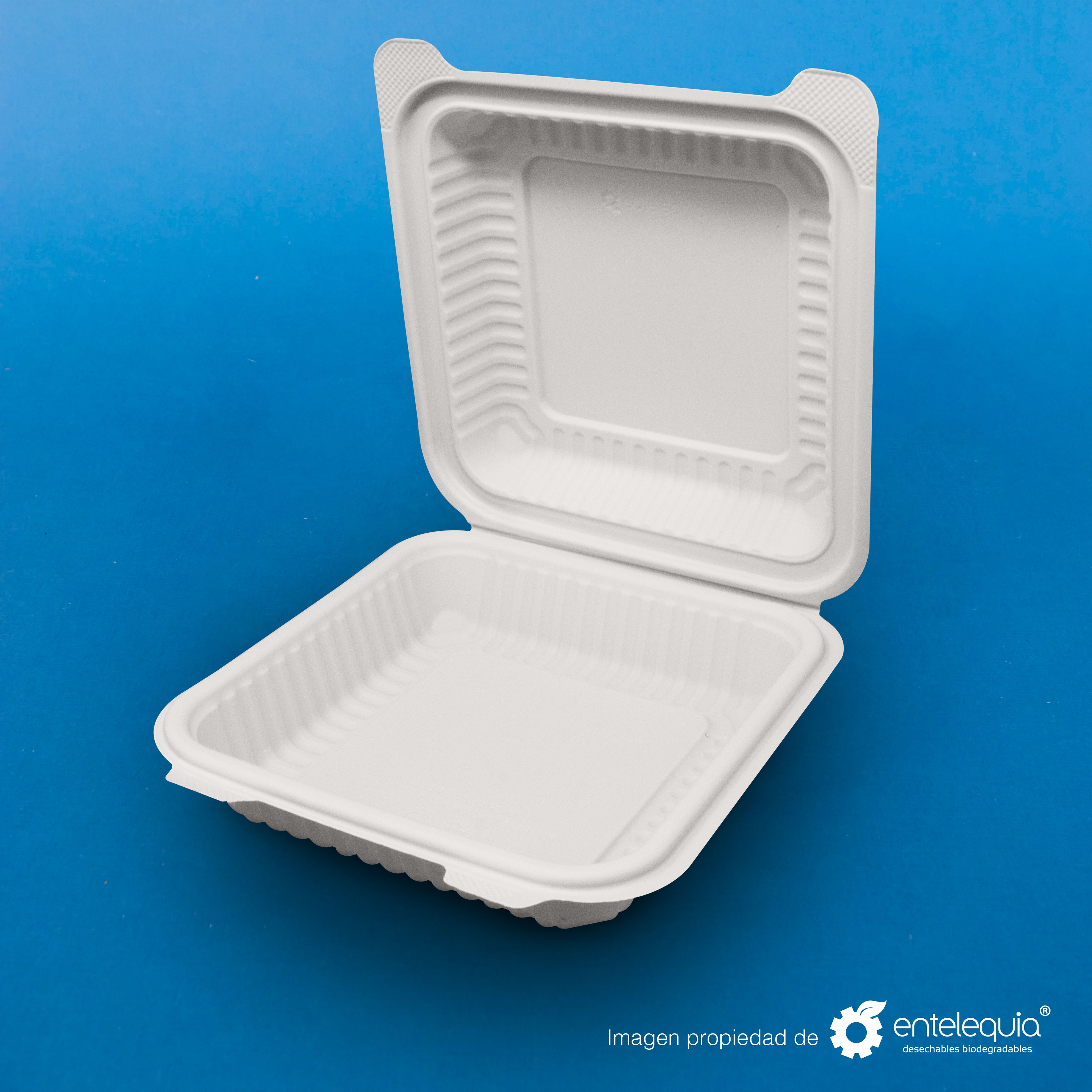 Almeja Cuadrada de Fécula de Maíz AFC8 - Desechables Biodegradables Entelequia® 50/300 pzas