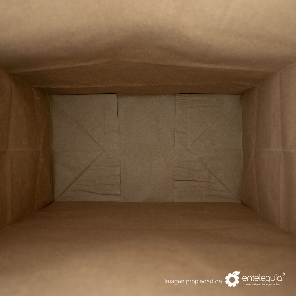 Bolsa de Kraft de 1/6 sin Asa - Desechables Biodegradables Entelequia® 50/500