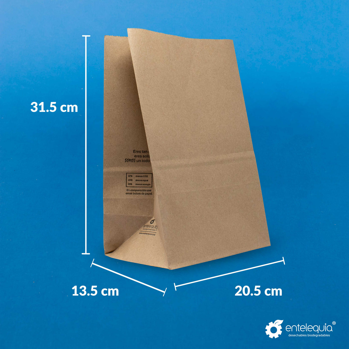 Bolsa de papel kraft 20 corta – Entelequia® Desechables Biodegradables