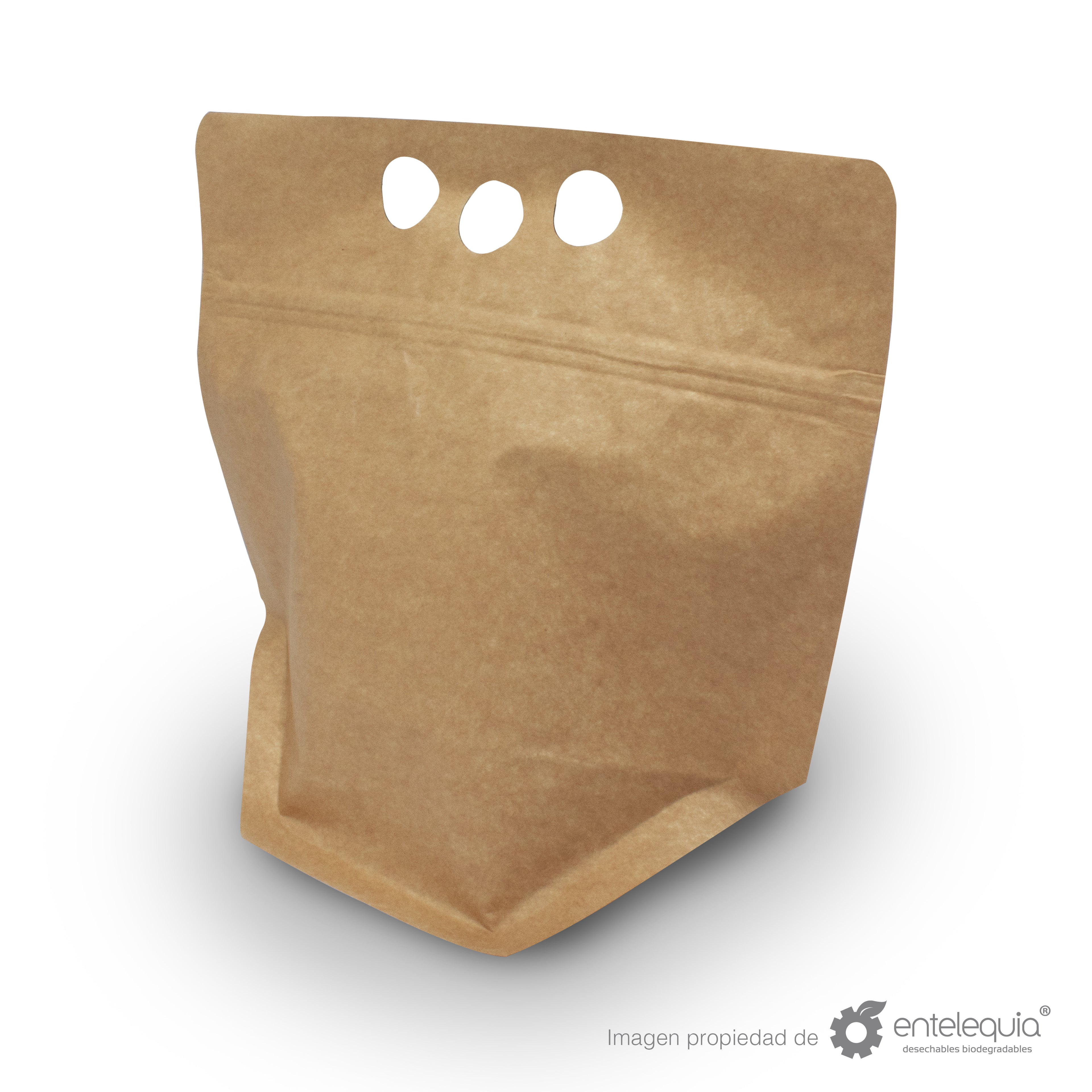 Bolsa Maleta Chica Metalizada con abre/cierra BMC - Desechables Biodegradables Entelequia® 500 pzas