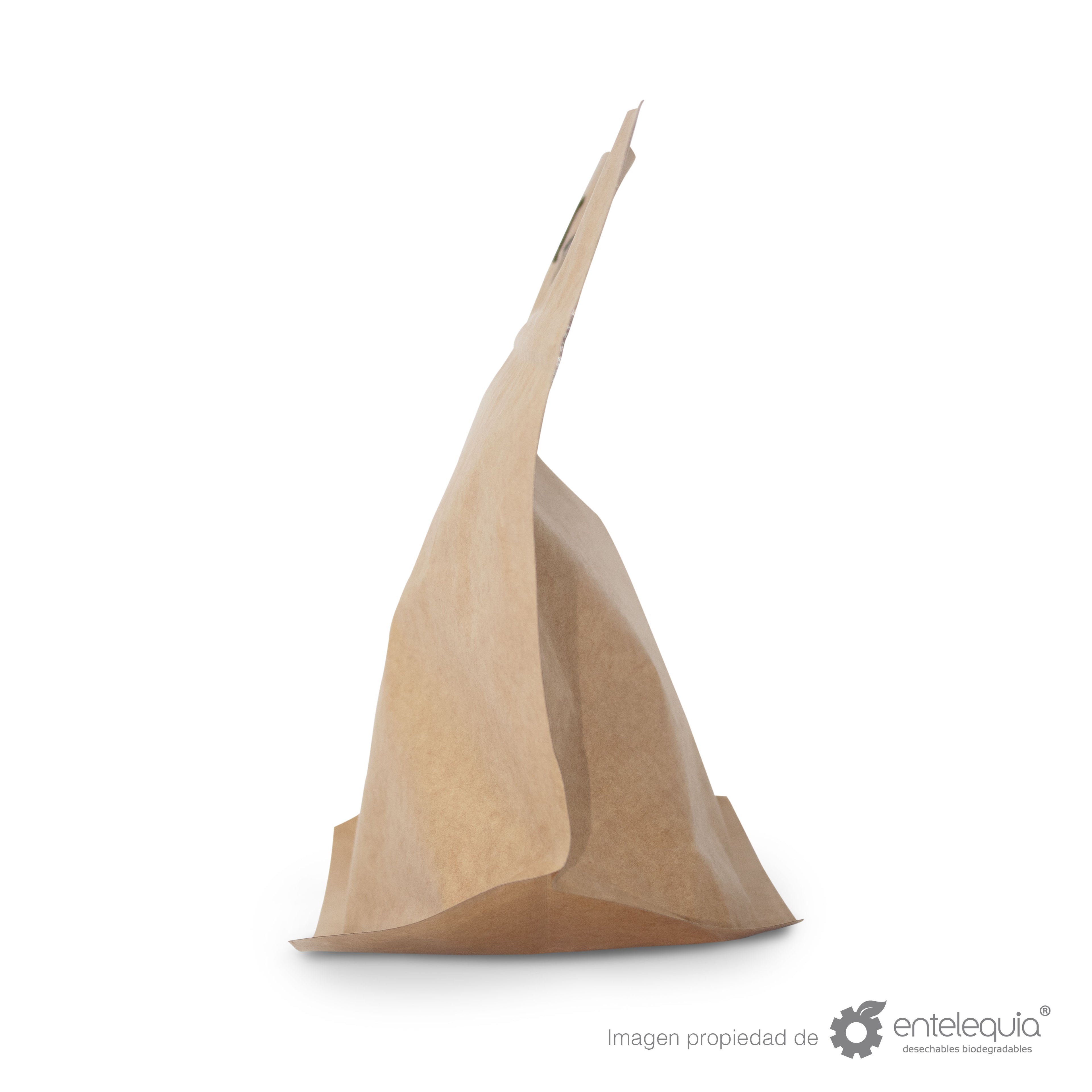 Bolsa Maleta Grande Metalizada con abre/cierra BMG - Desechable Biodegradable Entelequia 500 pzas