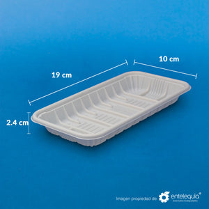 Plato desechable cuadrado de 10 – Entelequia® Desechables Biodegradables