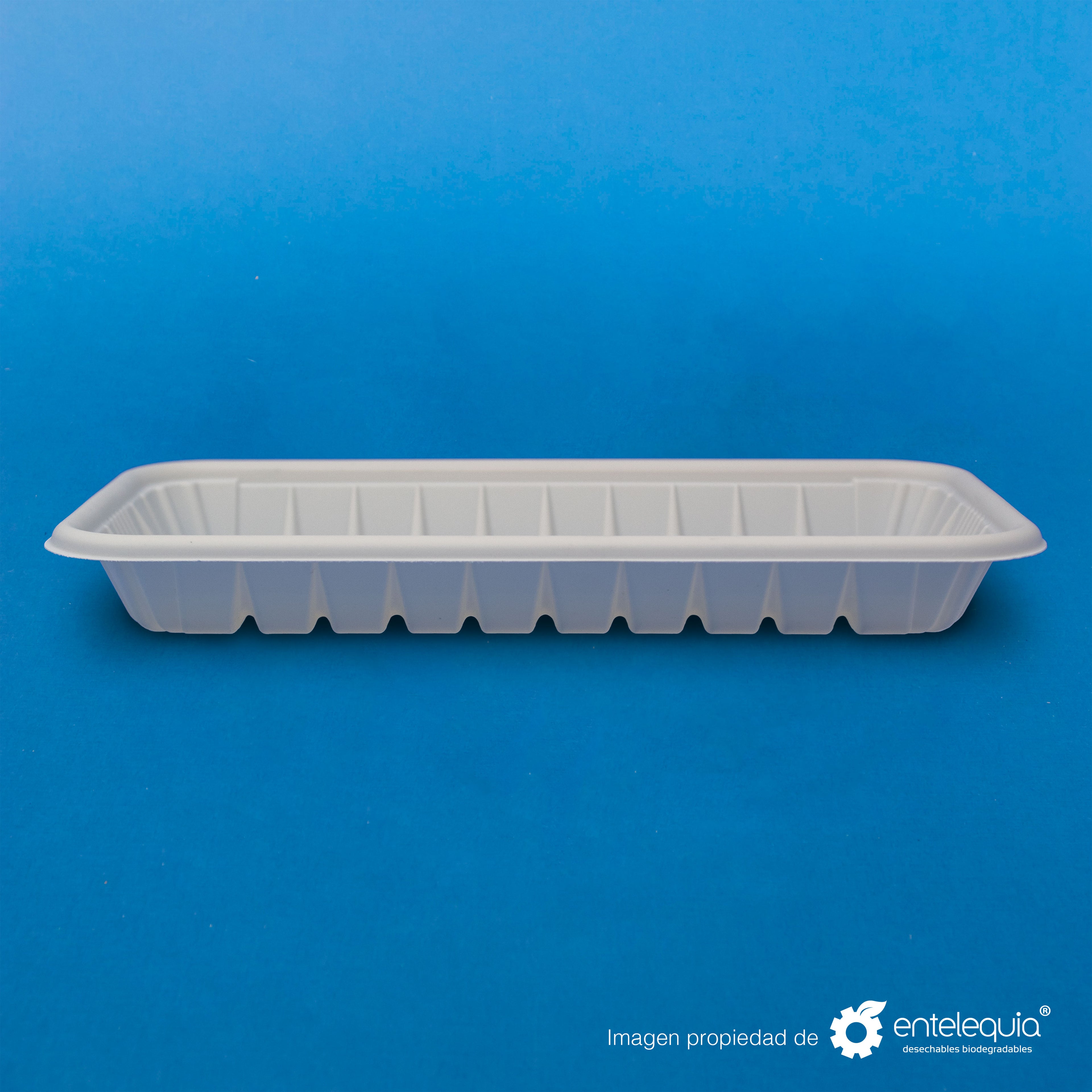 Charola de Fécula de Maíz Chica CFCH - Desechables Biodegradables Entelequia® 200/2,000 pzas
