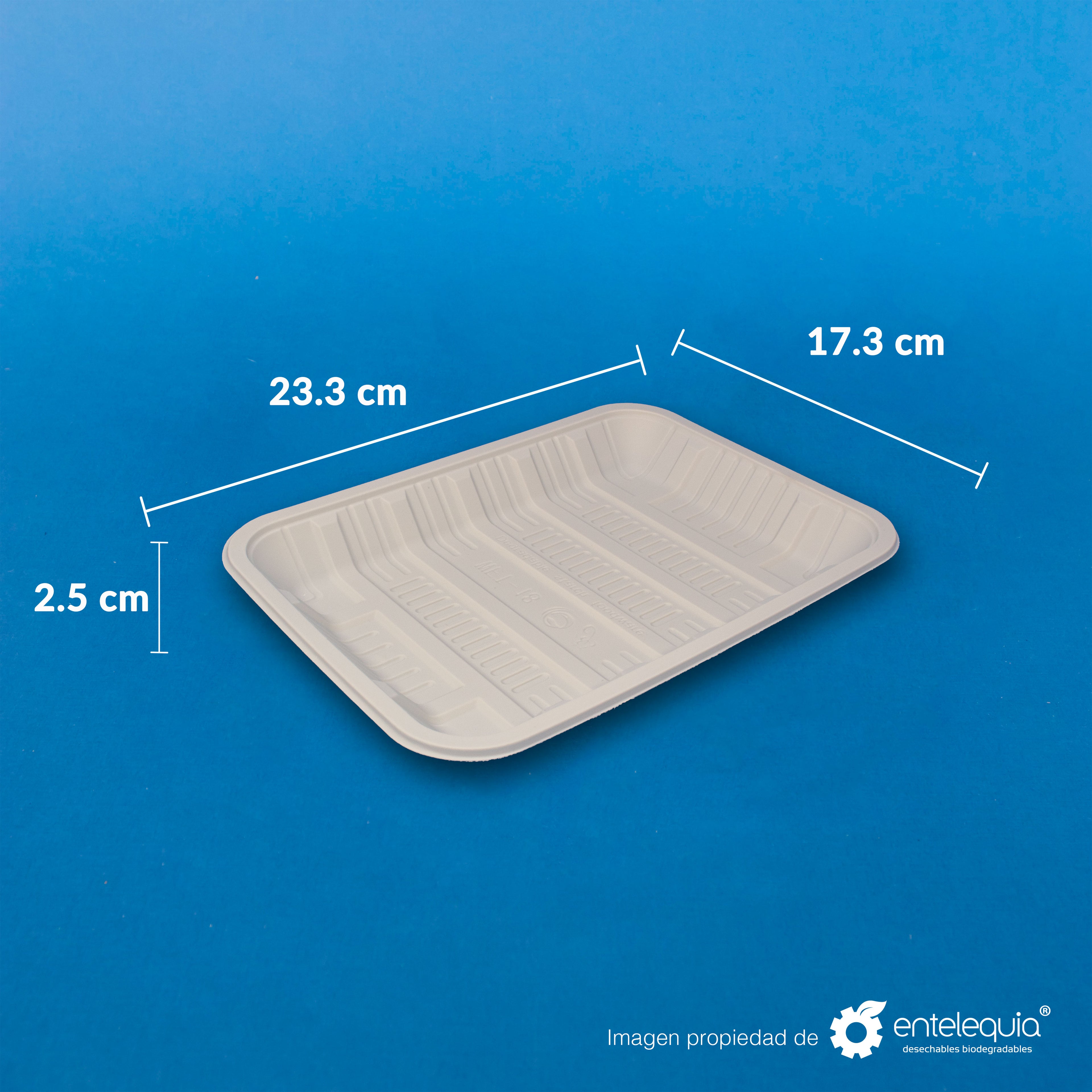 Charola de Fécula de Maíz Ex-Grande (23.5 x 17.5 x 3 mm) CFE - Desechables Biodegradable Entelequia®