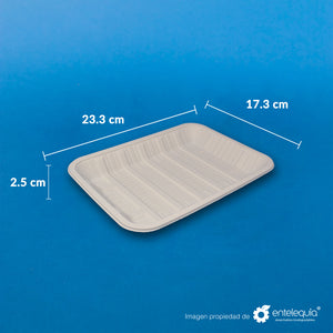 Charola de Fécula de Maíz Ex-Grande (23.5 x 17.5 x 3 mm) CFE - Desechables Biodegradable Entelequia®