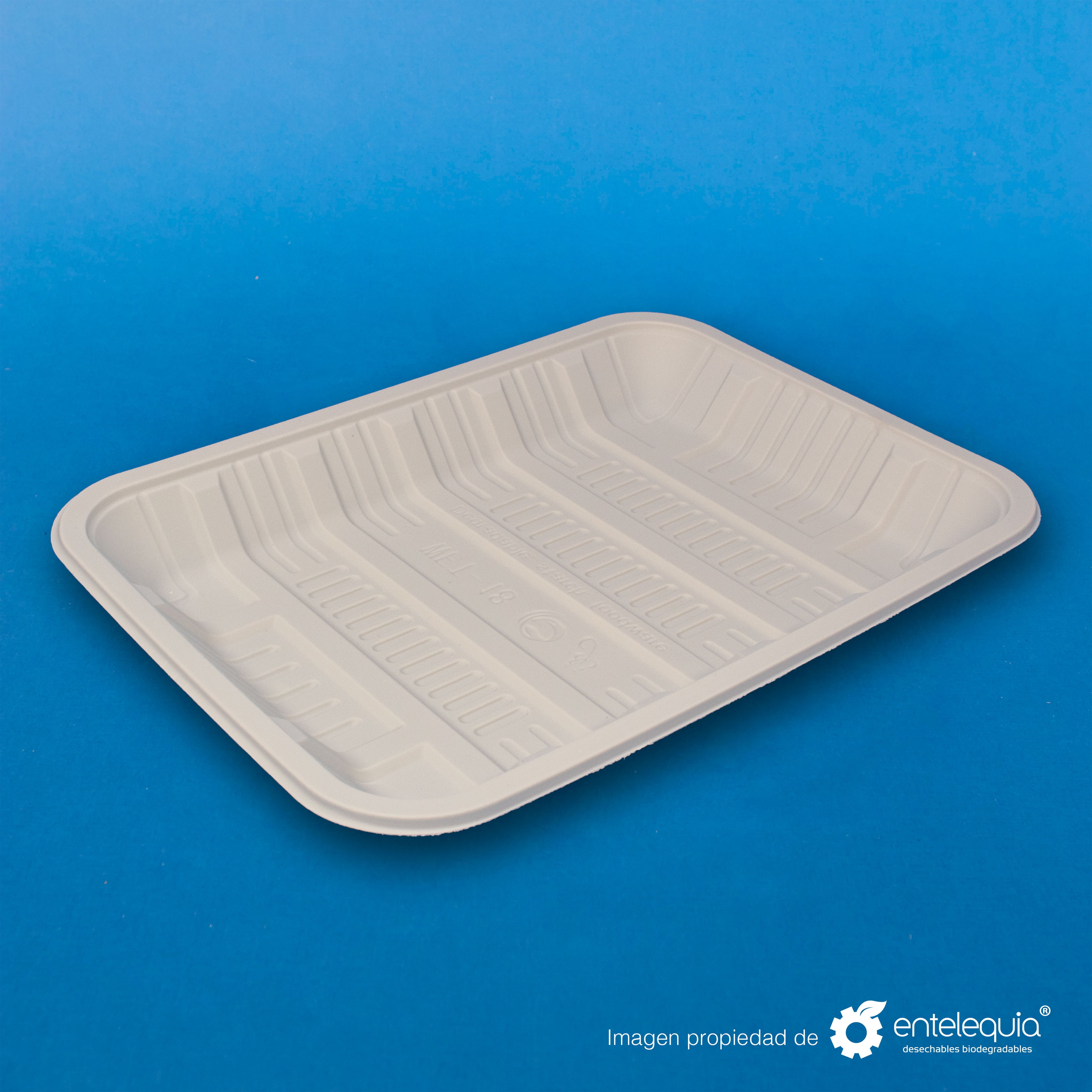 Charola de Fécula de Maíz Ex-Grande (23.5 x 17.5 x 3 mm) CFE - Desechables Biodegradable Entelequia®