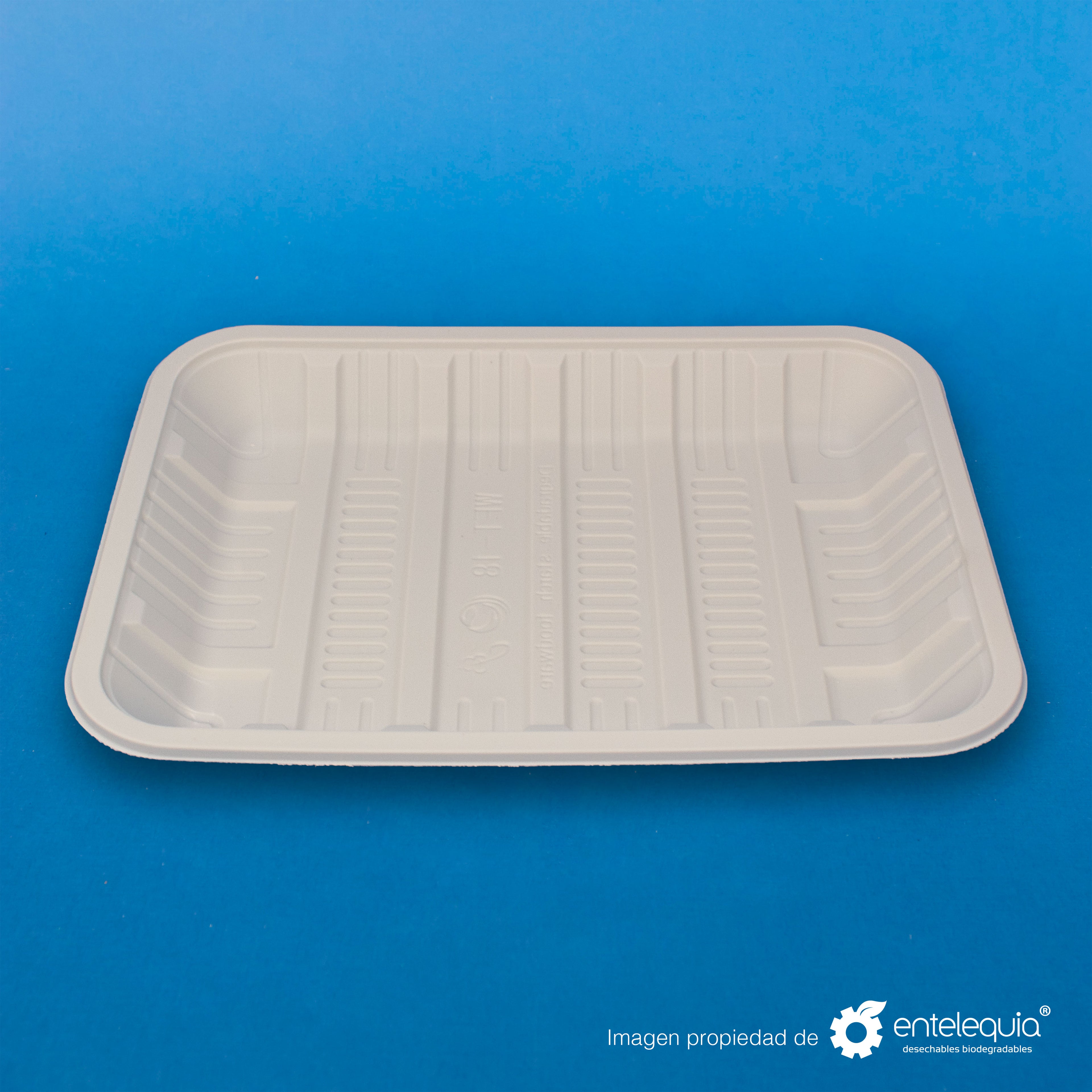 Charola de Fécula de Maíz Ex-Grande (23.5 x 17.5 x 3 mm) CFE - Desechables Biodegradable Entelequia®