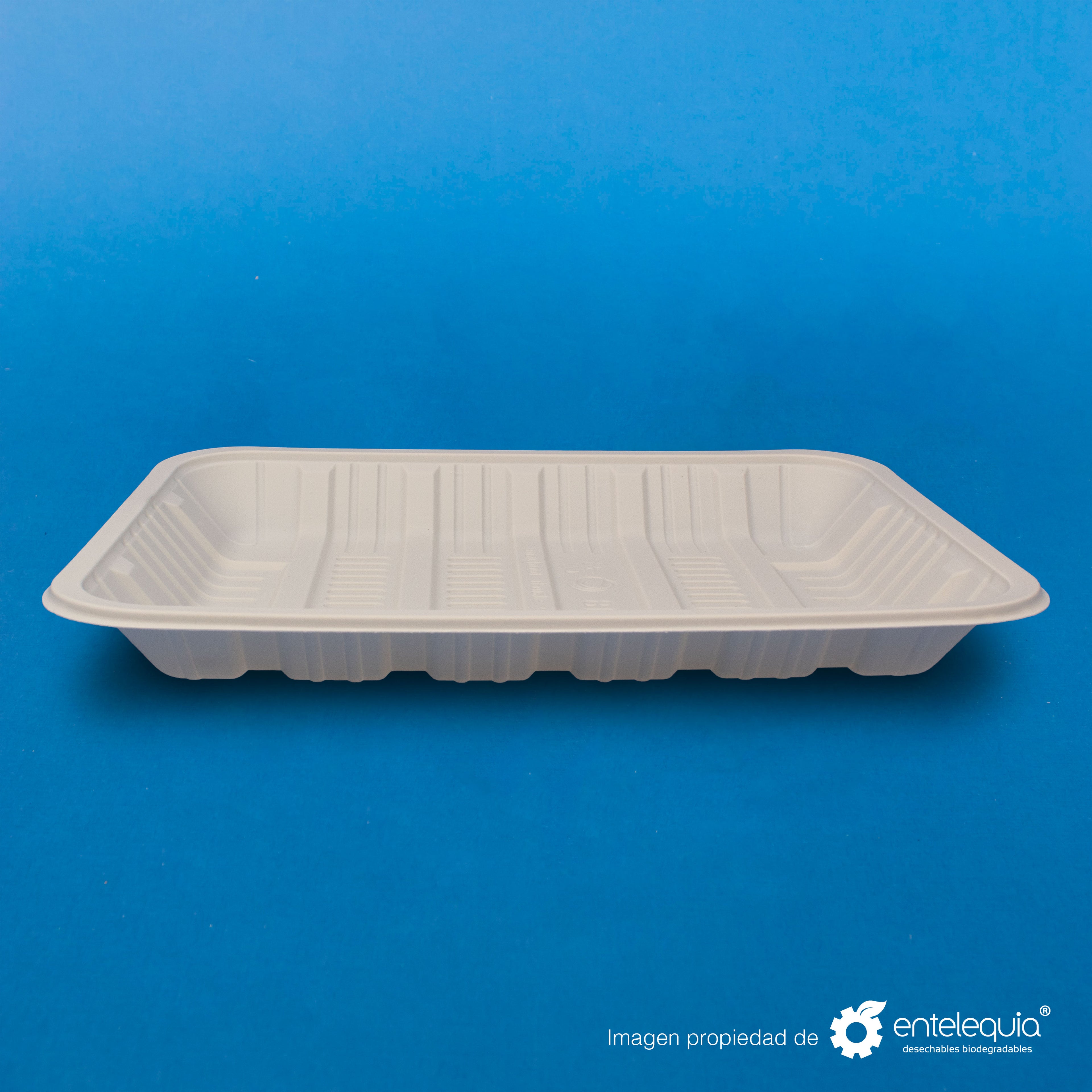 Charola de Fécula de Maíz Ex-Grande (23.5 x 17.5 x 3 mm) CFE - Desechables Biodegradable Entelequia®
