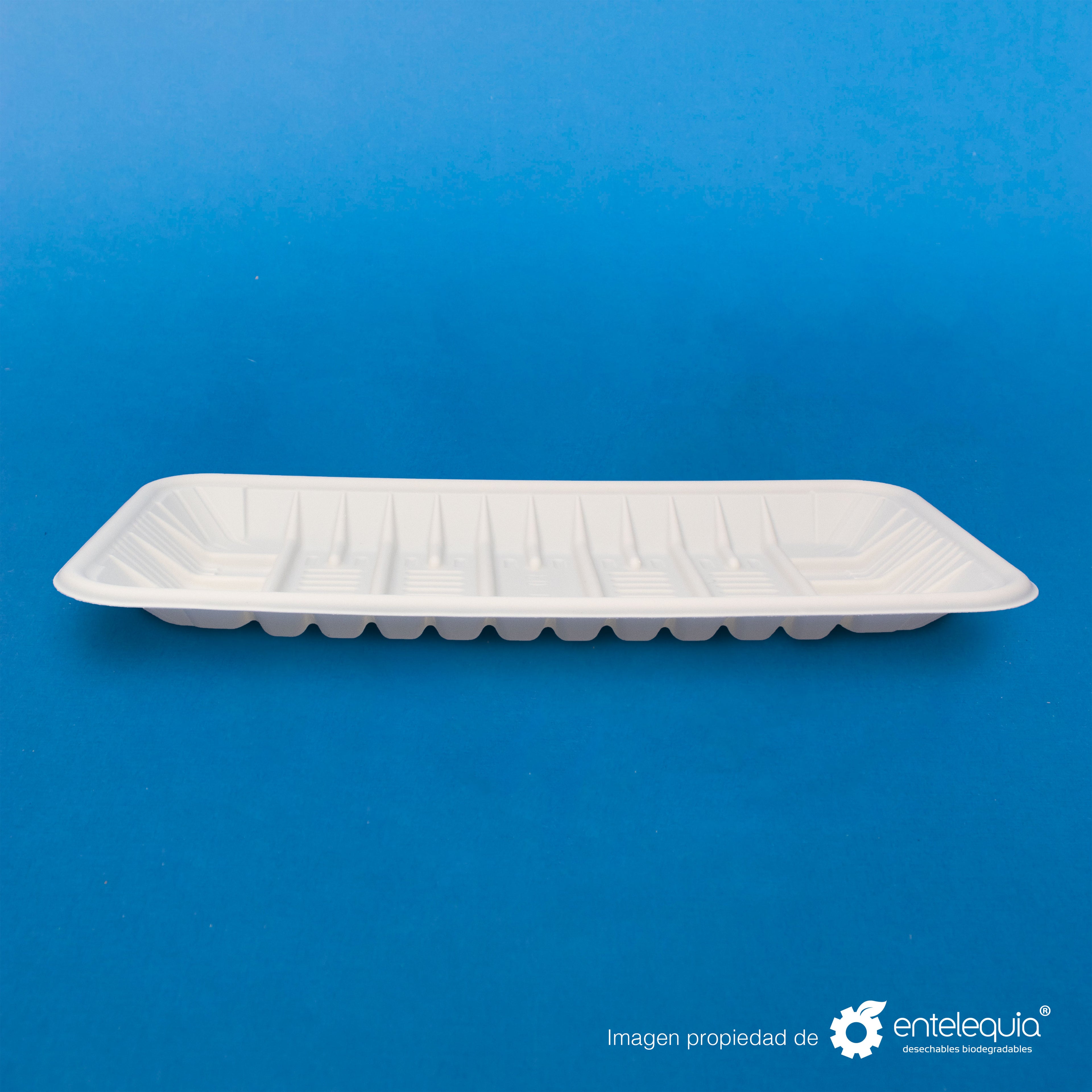 Charola de Fécula de Maíz Grande (25 x 13.5 x 3 mm) CFG - Desechables Biodegradable Entelequia®