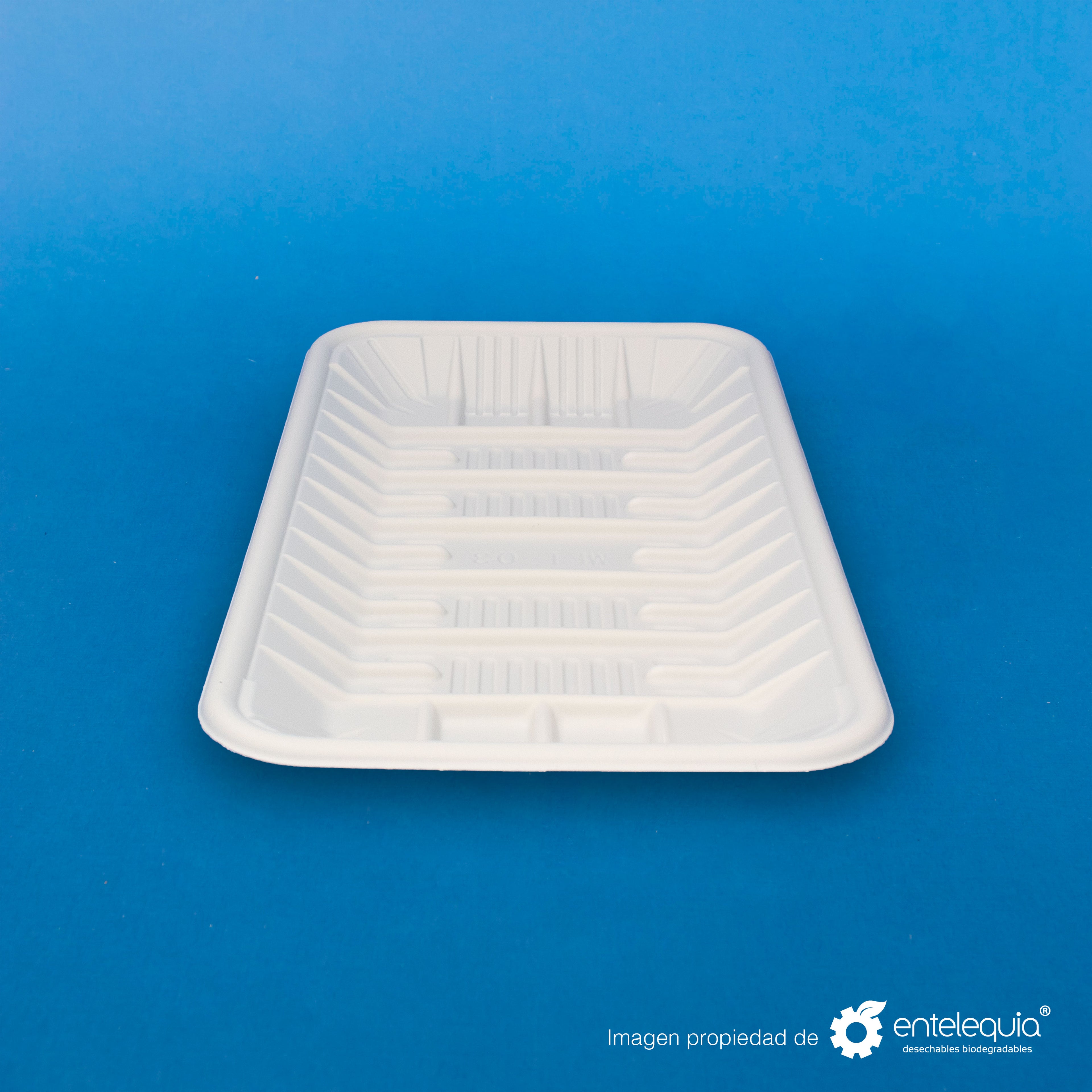 Charola de Fécula de Maíz Grande (25 x 13.5 x 3 mm) CFG - Desechables Biodegradable Entelequia®