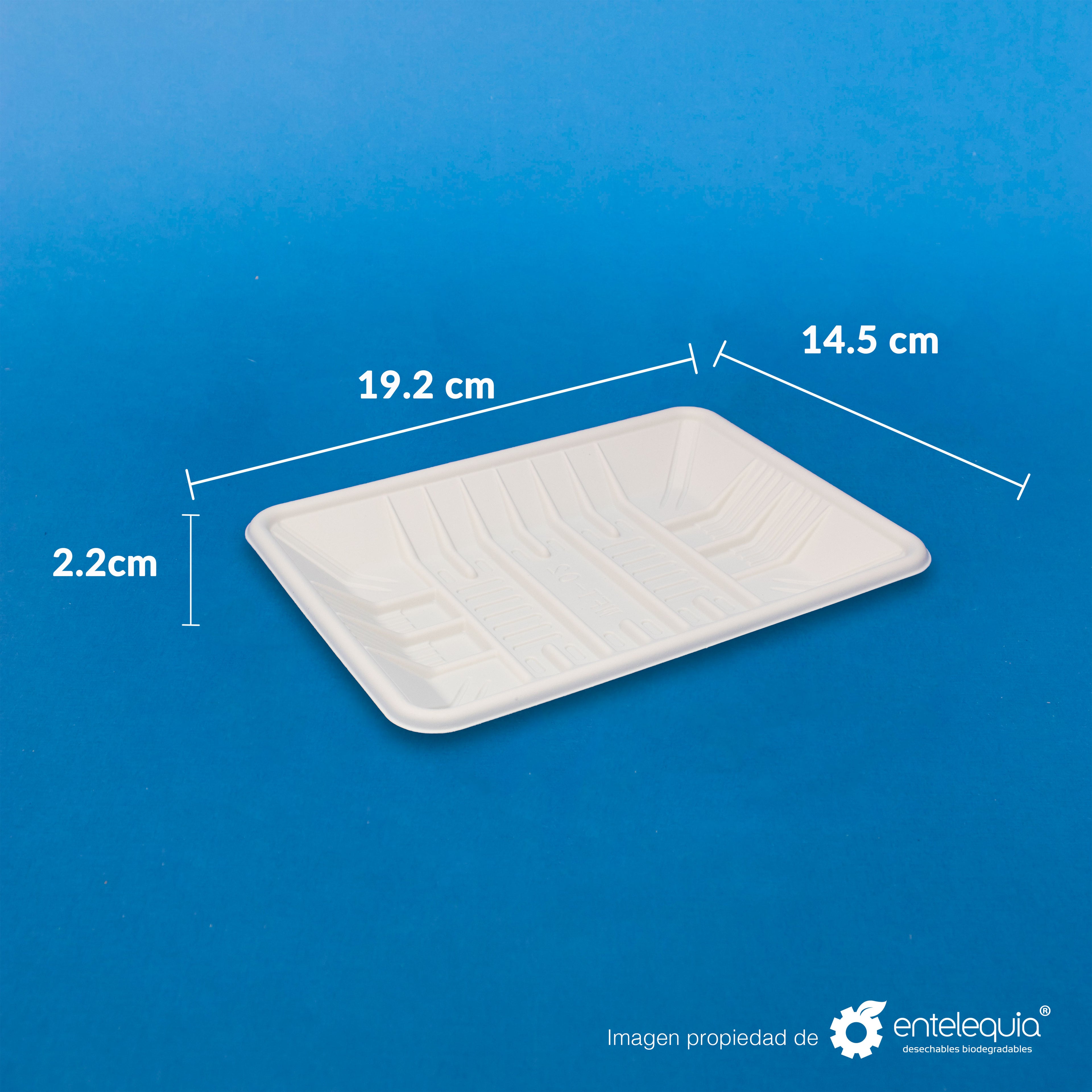 Charola de Fécula de Maíz Mediana (19 x 14 x 3 mm) CFM - Desechable Biodegradable Entelequia®
