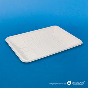 Charola de Fécula de Maíz Mediana (19 x 14 x 3 mm) CFM - Desechable Biodegradable Entelequia®