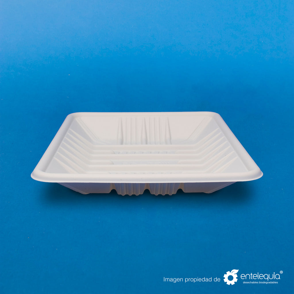 Charola de Fécula de Maíz Mediana (19 x 14 x 3 mm) CFM - Desechable Biodegradable Entelequia®
