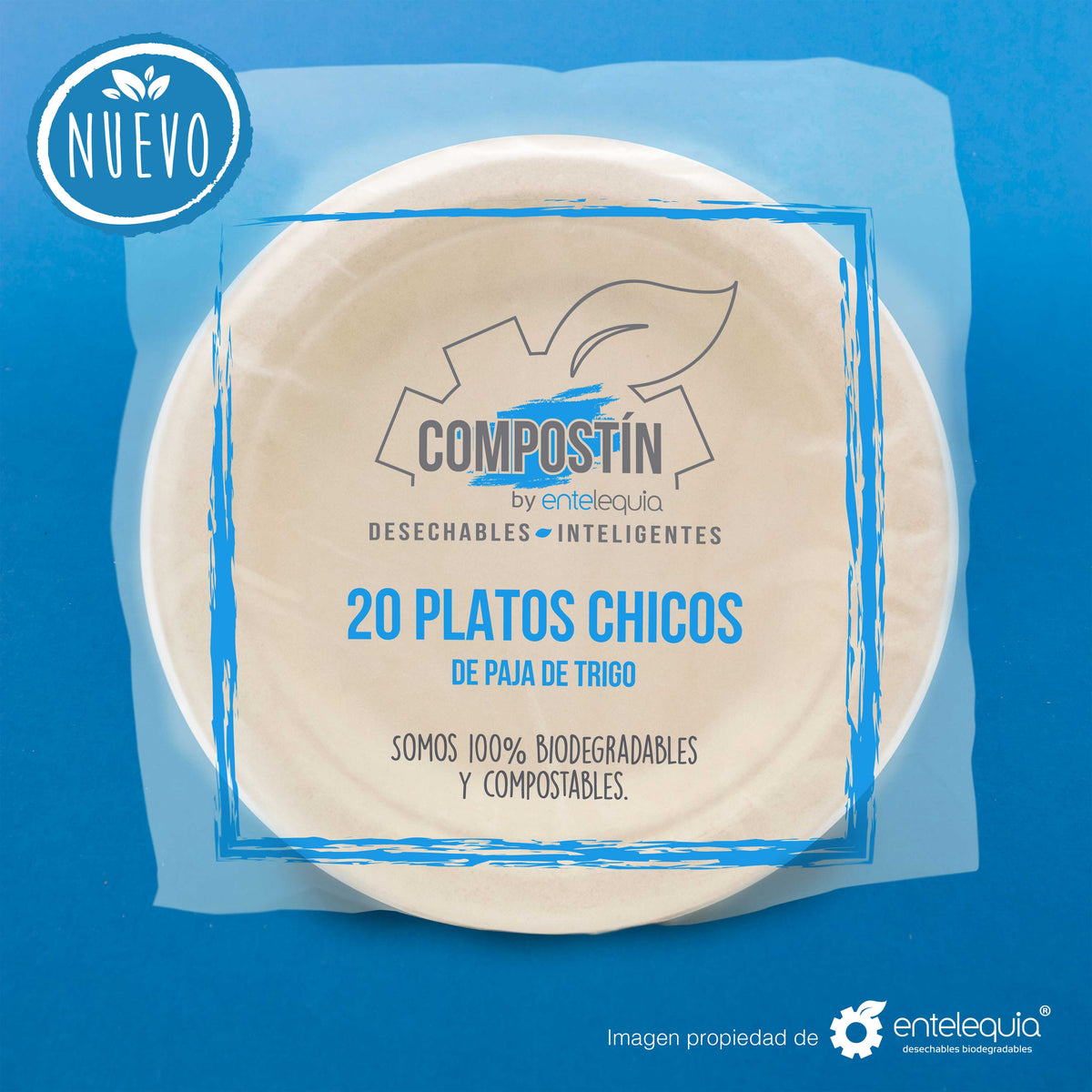 Plato de 6" de paja de trigo Compostín tipo Pastelero