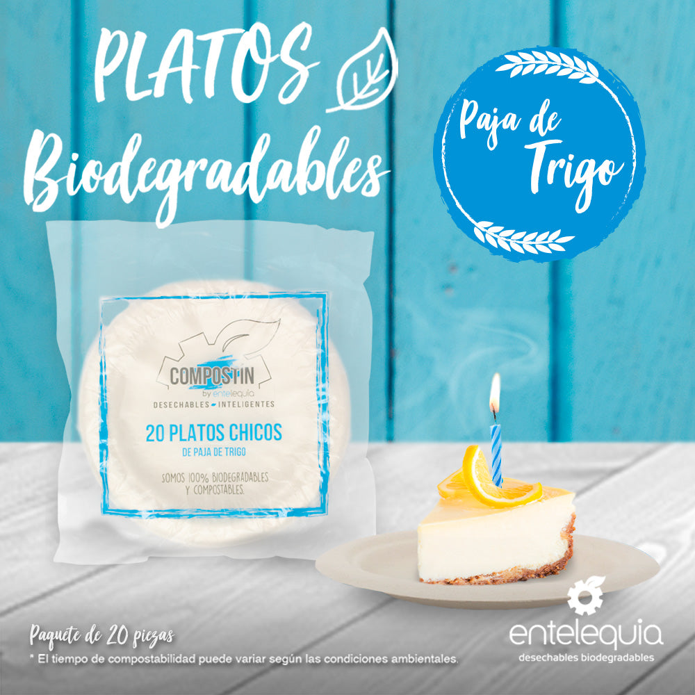 Plato de 6" de paja de trigo Compostín tipo Pastelero