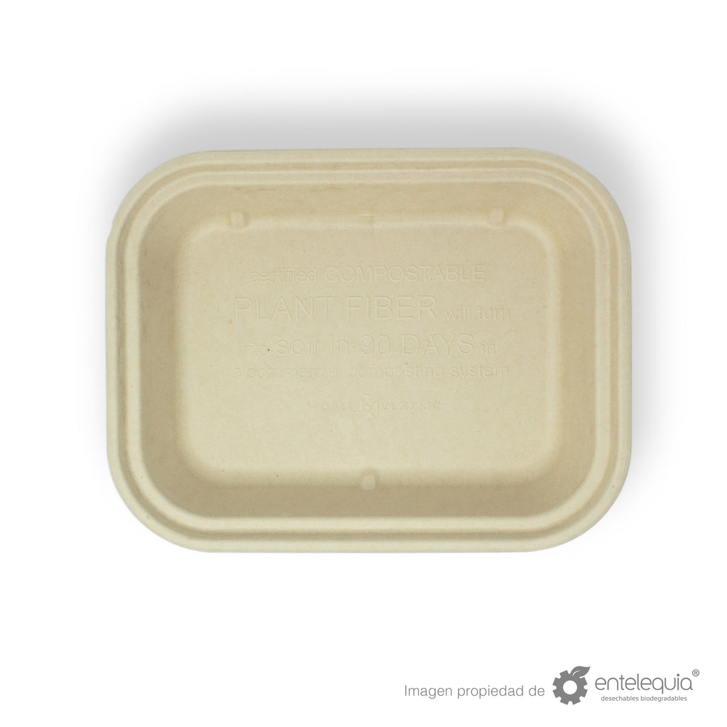 Contenedor Paja de Trigo Para Alimentos Grande Liso EP10X8L - Desechables Biodegradable Entelequia