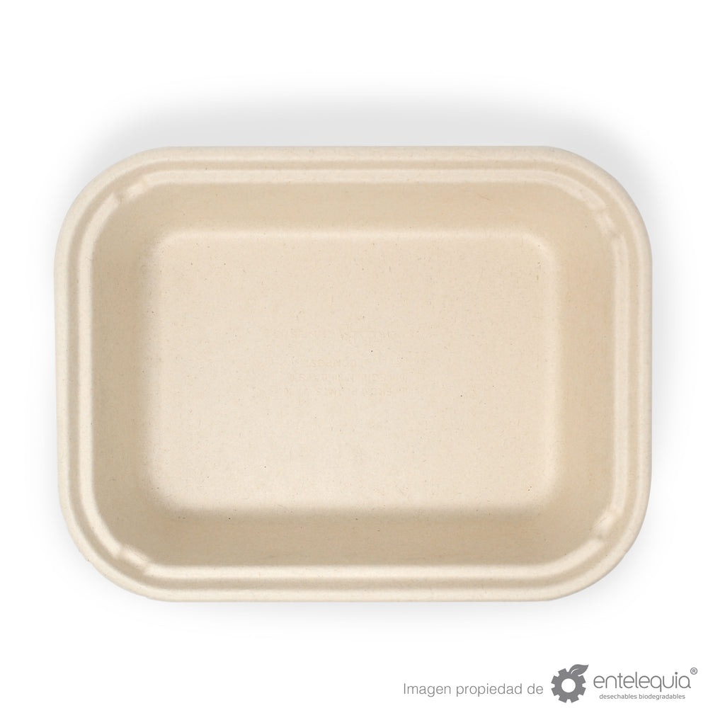 Contenedor Paja de Trigo para Alimentos Grande Liso Alto EP10X8L - Desechable Biodegradable Entelequia