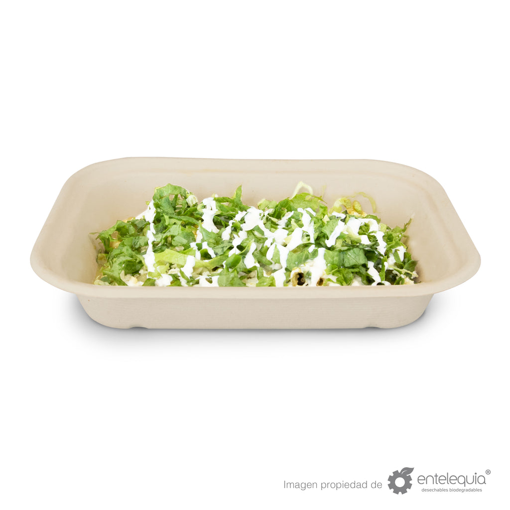 Contenedor Paja de Trigo Rectangular Chico 1 división EP8X6L - Desechable Biodegradable Entelequia