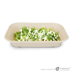 Contenedor Paja de Trigo Rectangular Chico 1 división EP8X6L - Desechable Biodegradable Entelequia