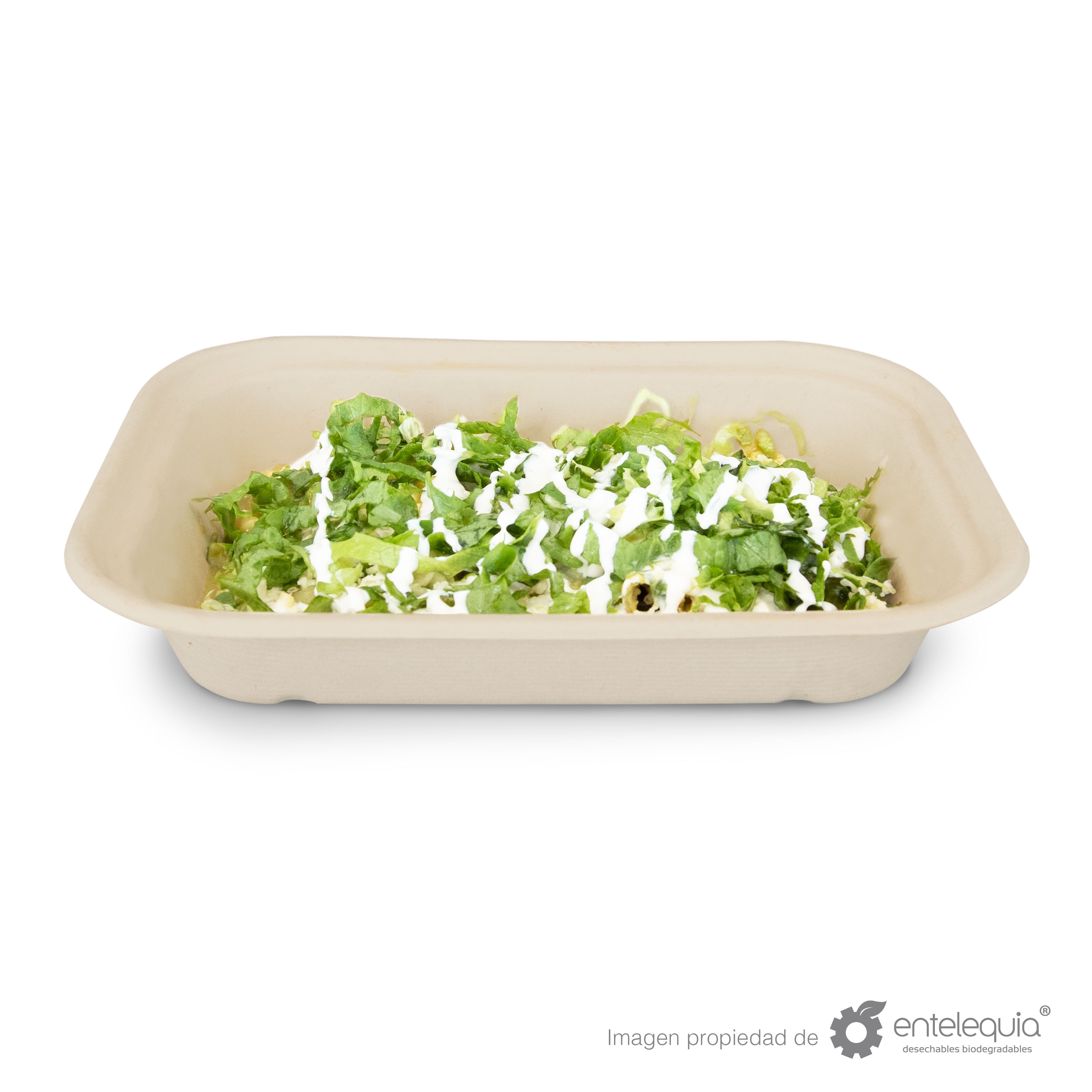Contenedor Paja de Trigo Rectangular Chico 1 división EP8X6L - Desechable Biodegradable Entelequia