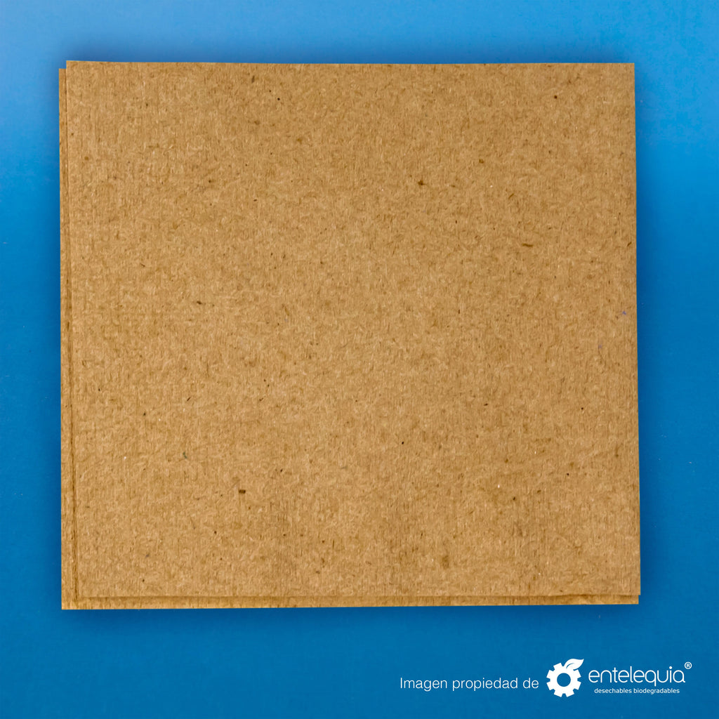 Servilleta cuadrada fibras recicladas no cloradas - Desechable Biodegradable Entelequia 9000 pzas