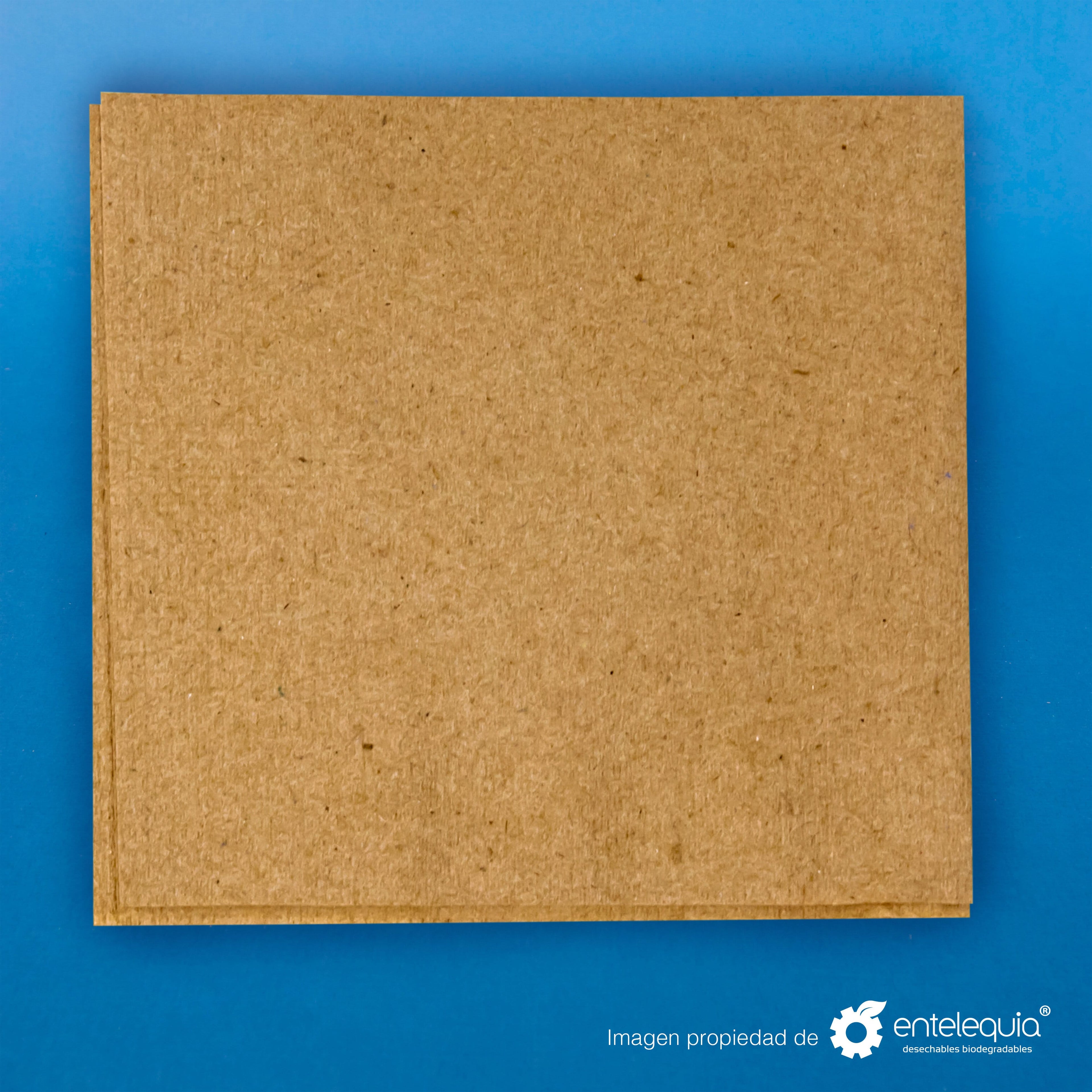 Servilleta cuadrada fibras recicladas no cloradas - Desechable Biodegradable Entelequia 9000 pzas