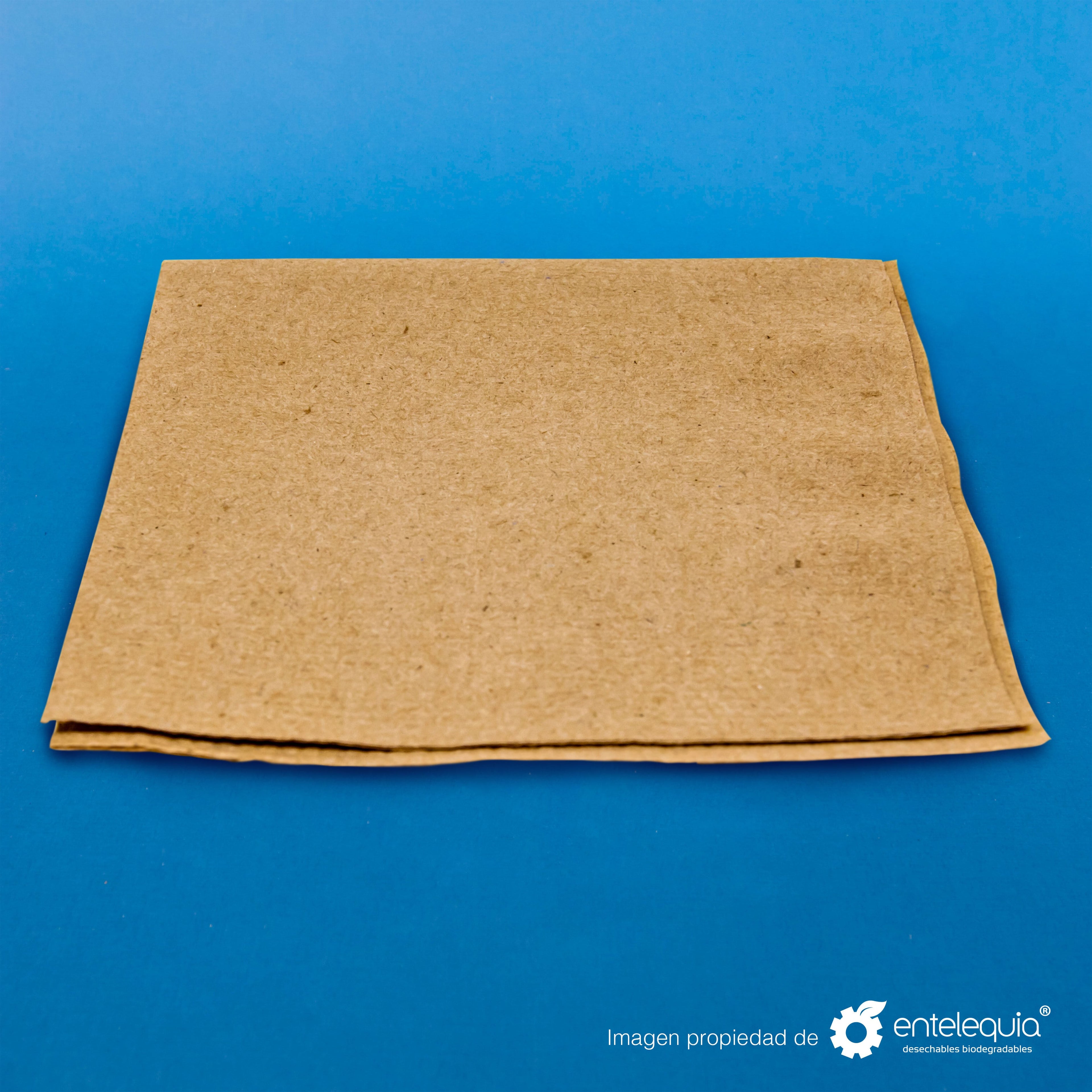 Servilleta cuadrada fibras recicladas no cloradas - Desechable Biodegradable Entelequia 9000 pzas