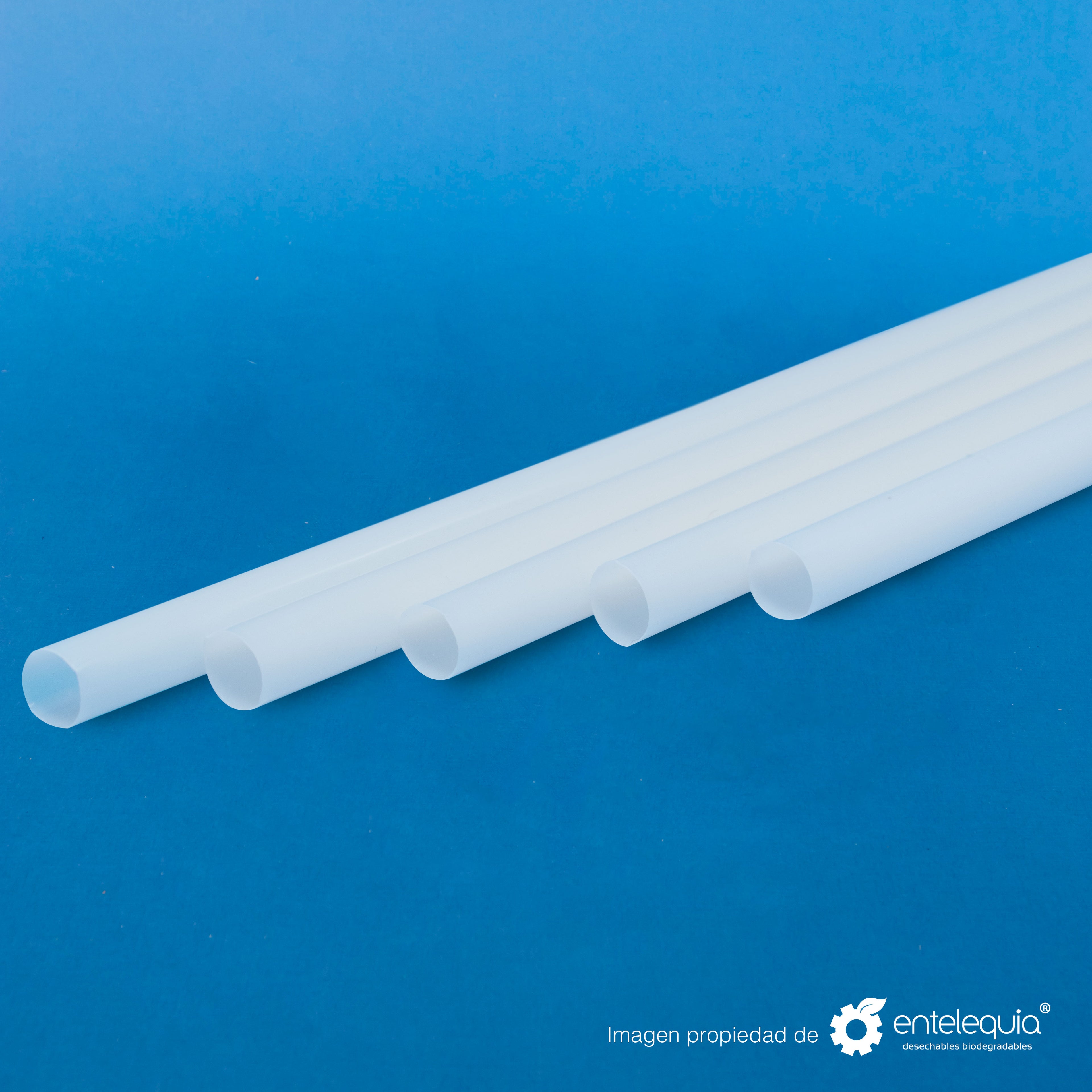 Popote PLA estuchado en papel 7.9in - Desechable Biodegradable Entelequia 100/1,000 pzas