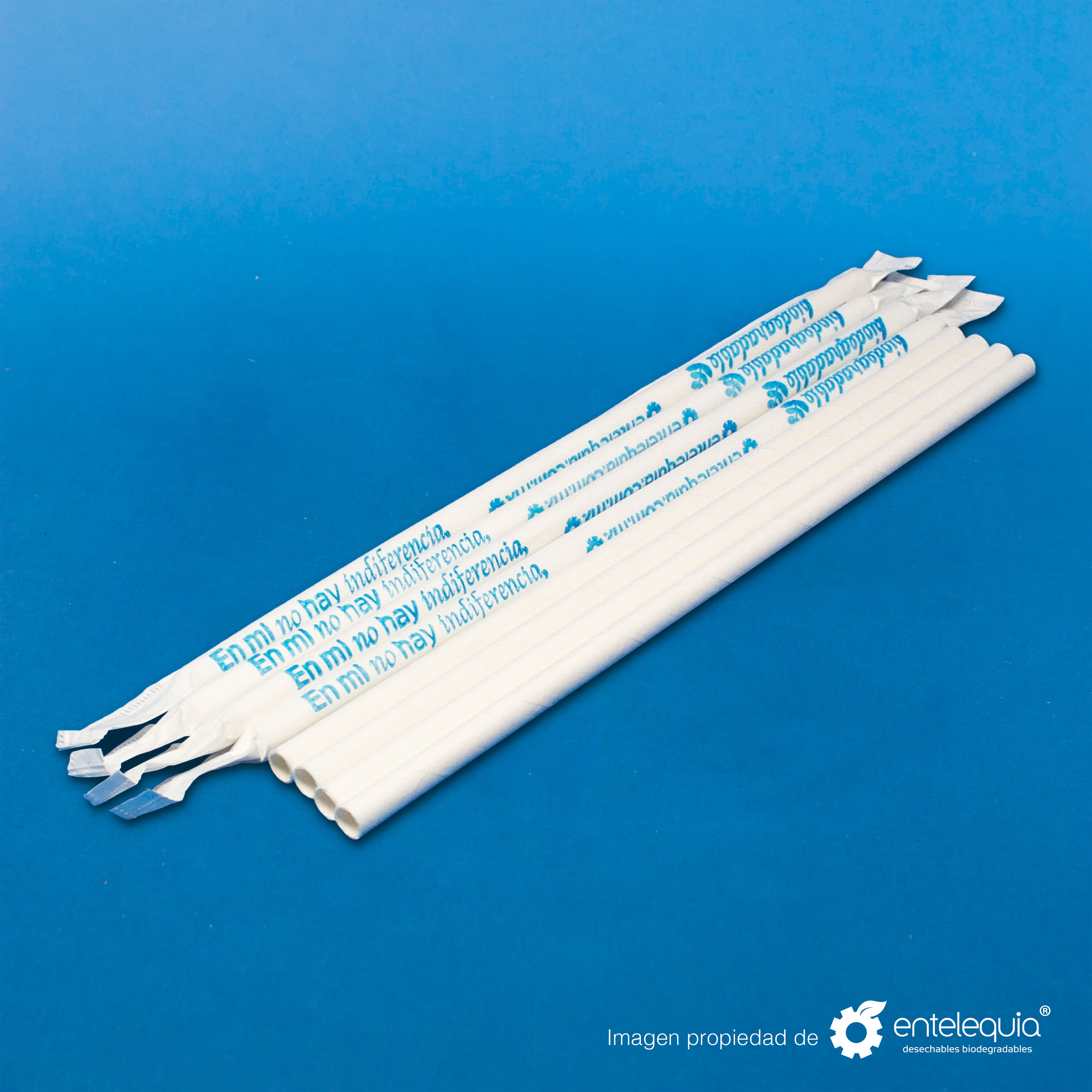 Popote de papel Blanco estuchado en papel PP