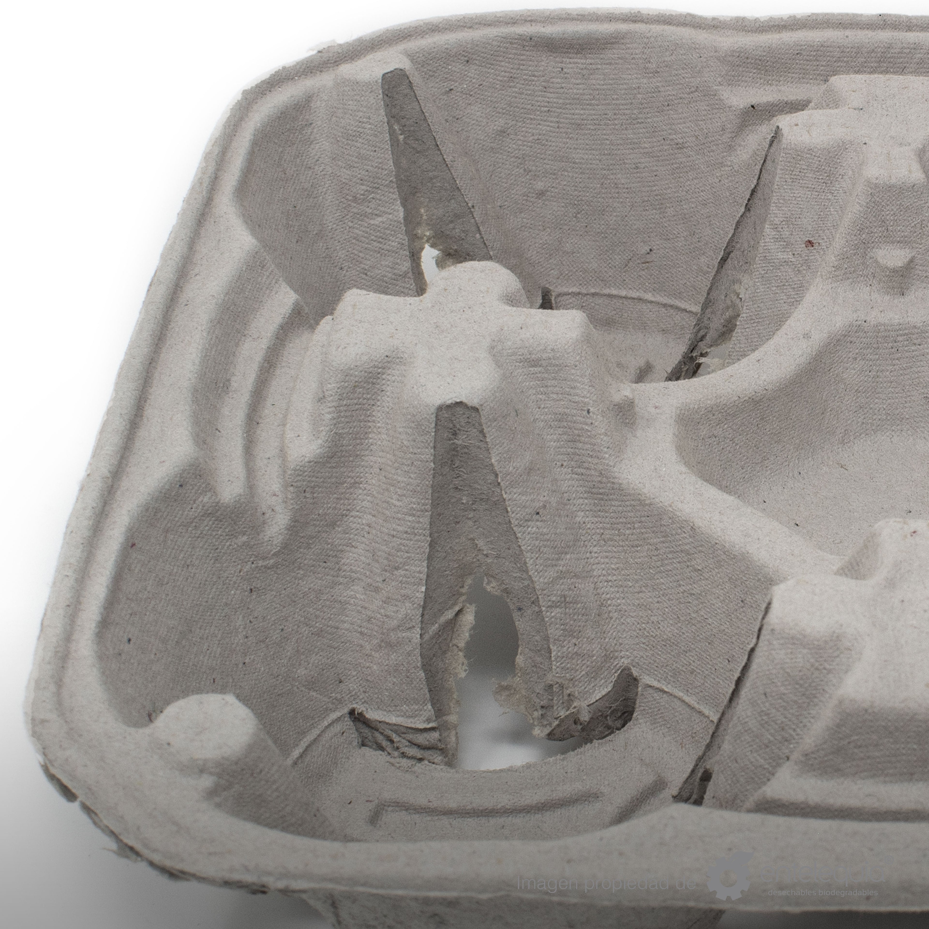 Porta Vasos de Fibra reciclada PV - Desechable Biodegradable Entelequia®