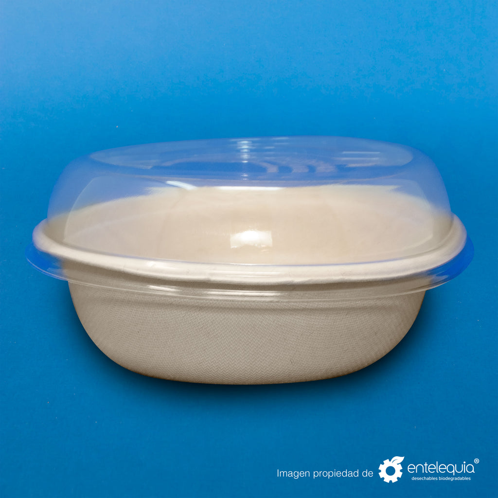 Tapa PLA Contenedor 32oz - Desechable Biodegradable Entelequia 300 pzas