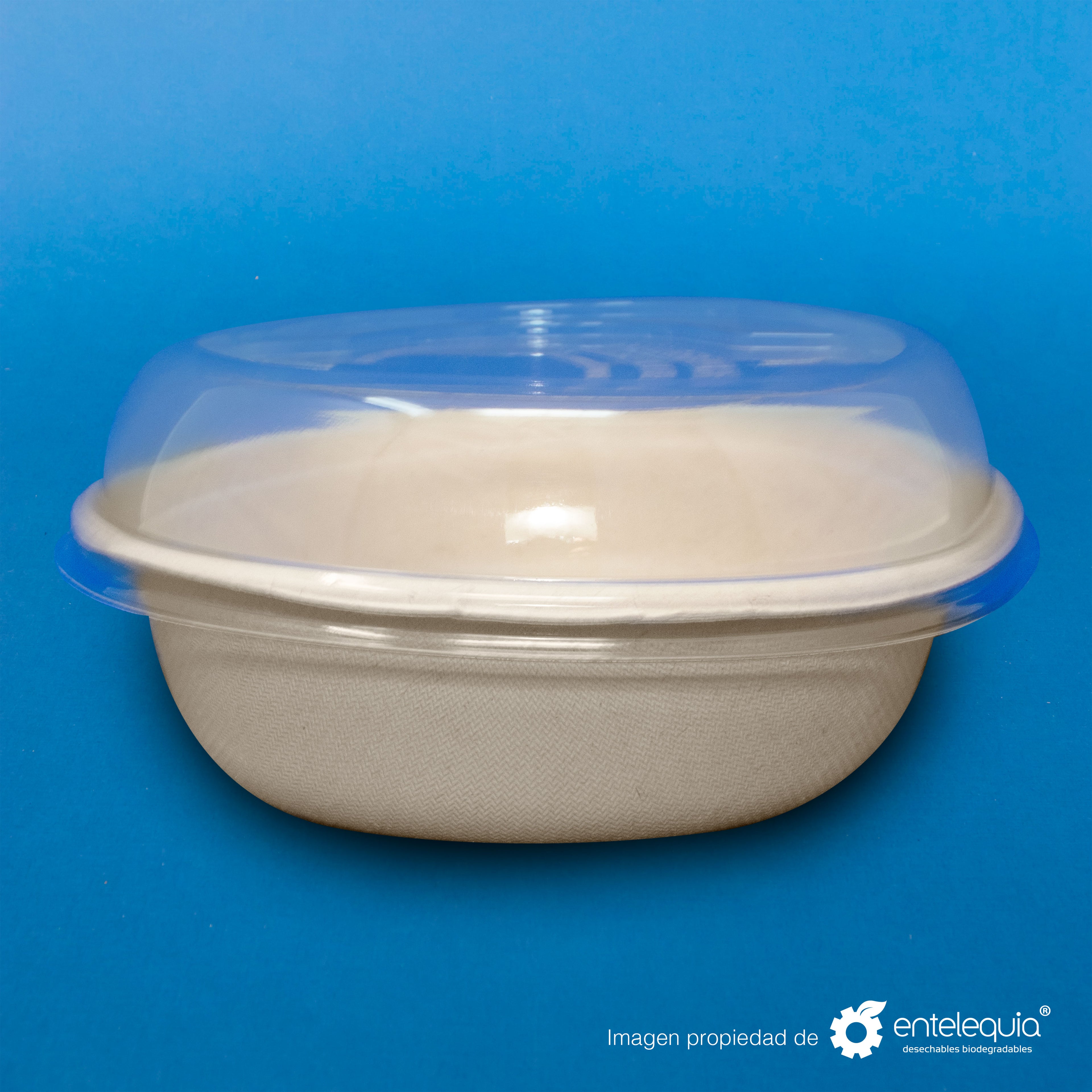 Tapa PLA Contenedor 32oz - Desechable Biodegradable Entelequia 300 pzas
