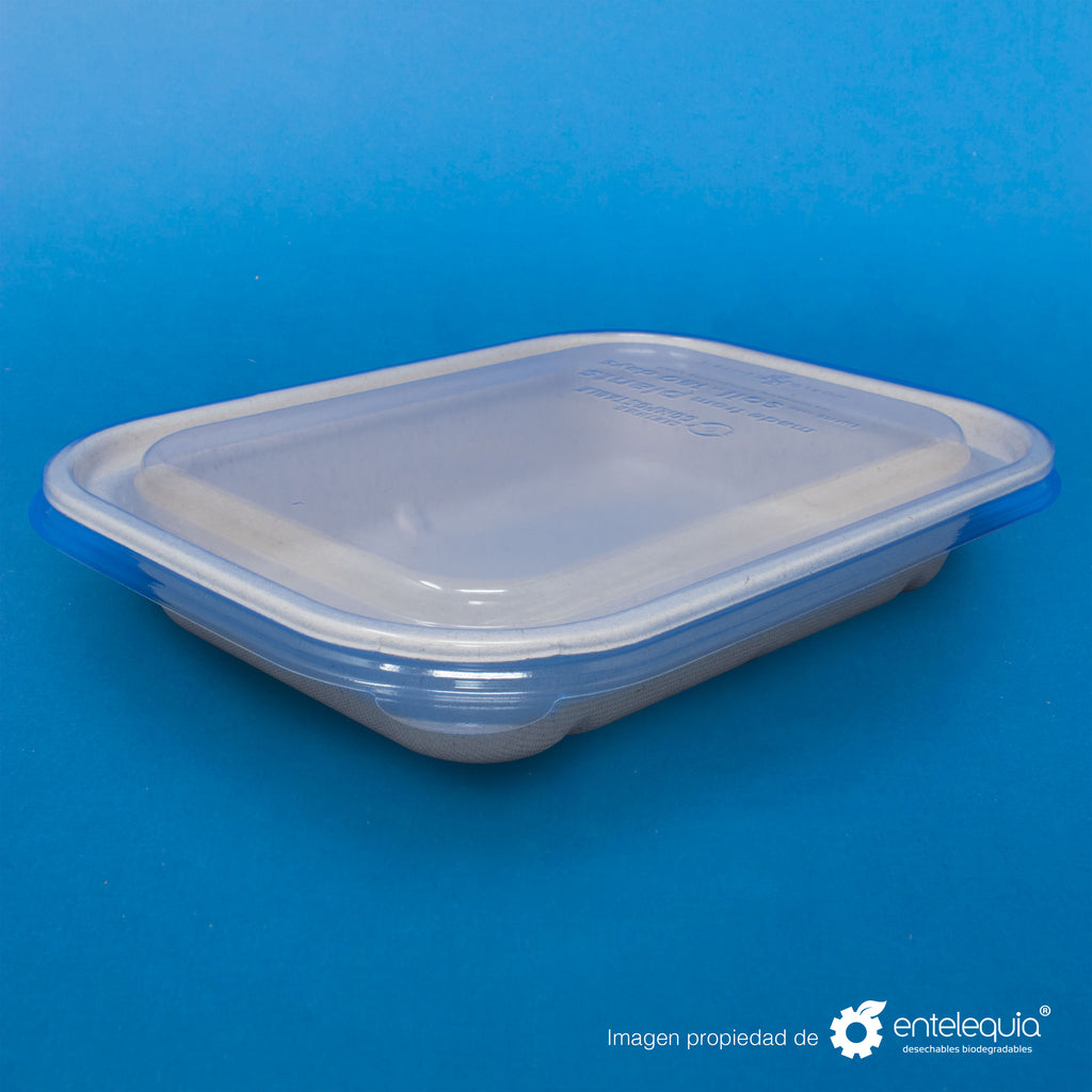 Tapa PLA Contenedor Rectangular Grande Liso TP10X8L - Desechable Biodegradable Entelequia 400 pzas
