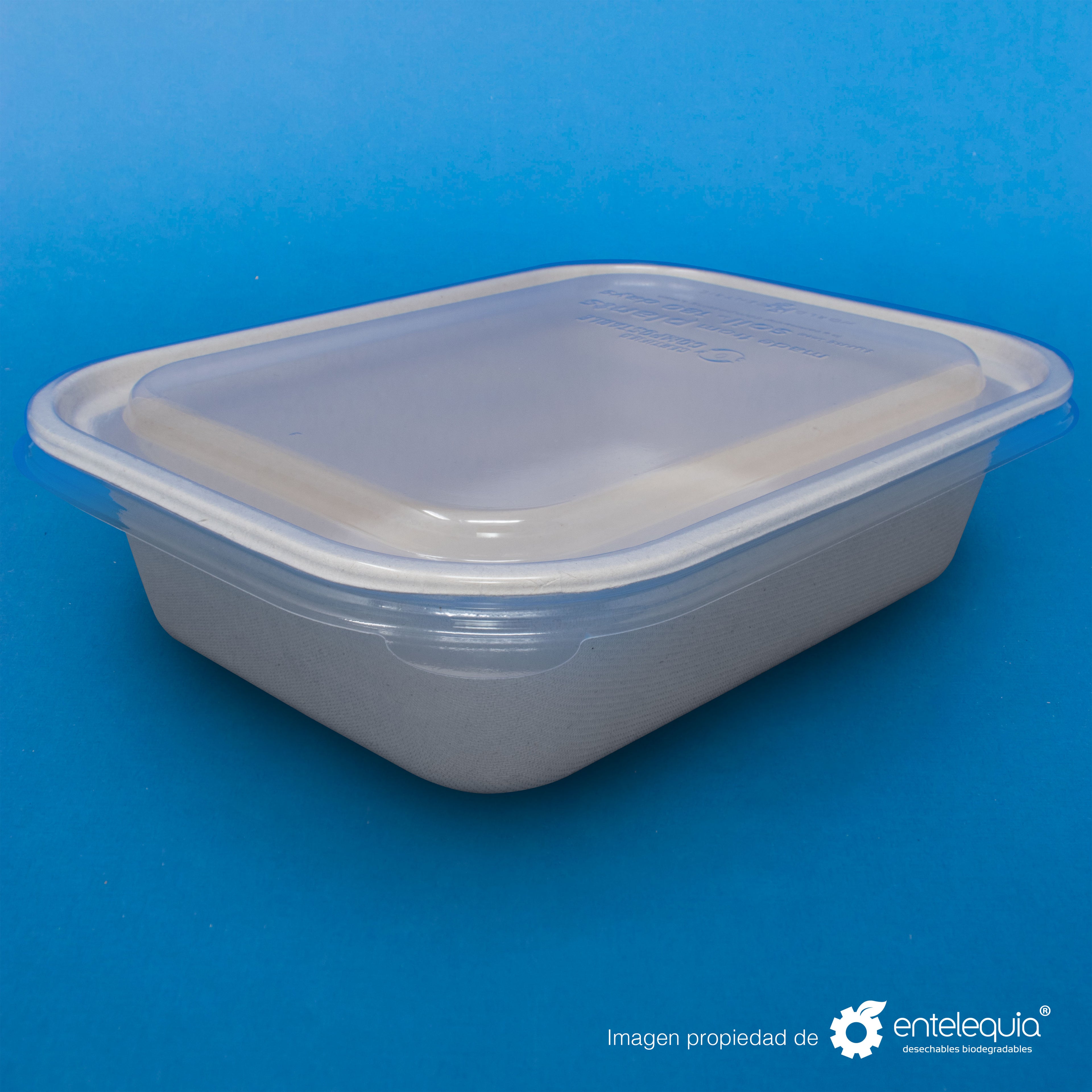 Tapa PLA Contenedor Rectangular Grande Liso TP10X8L - Desechable Biodegradable Entelequia 400 pzas